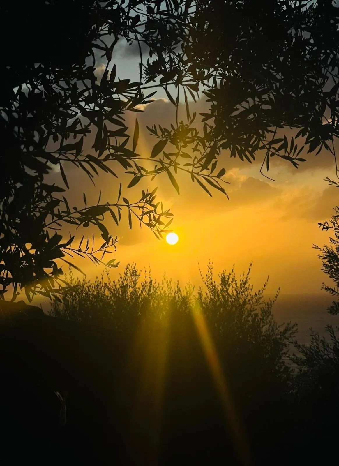 Dimora Acqua del Fico