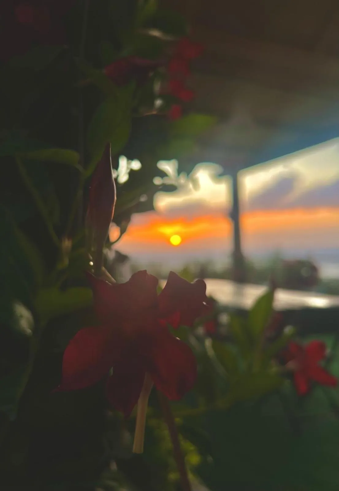 Dimora Acqua del Fico