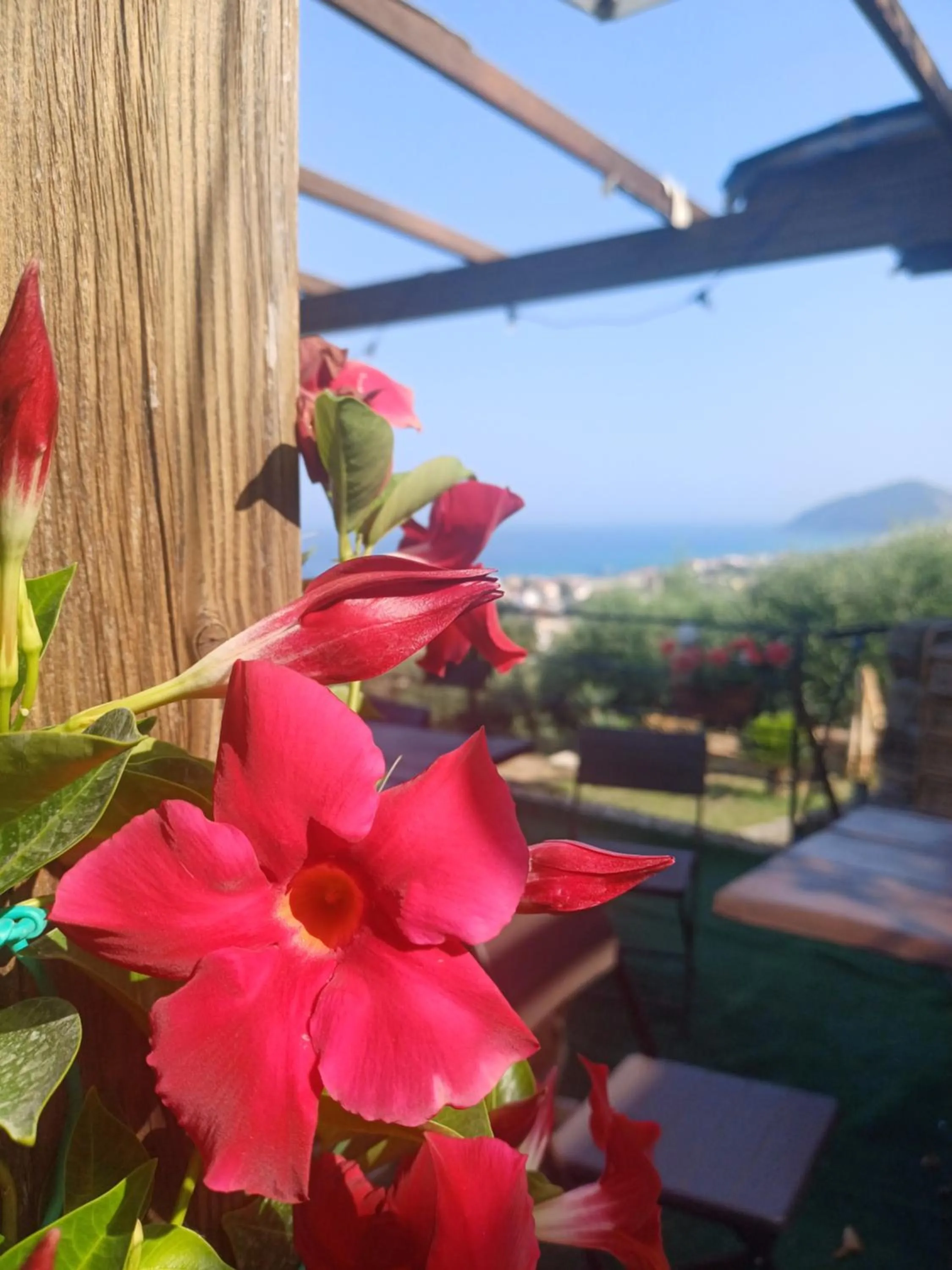 Patio in Dimora Acqua del Fico