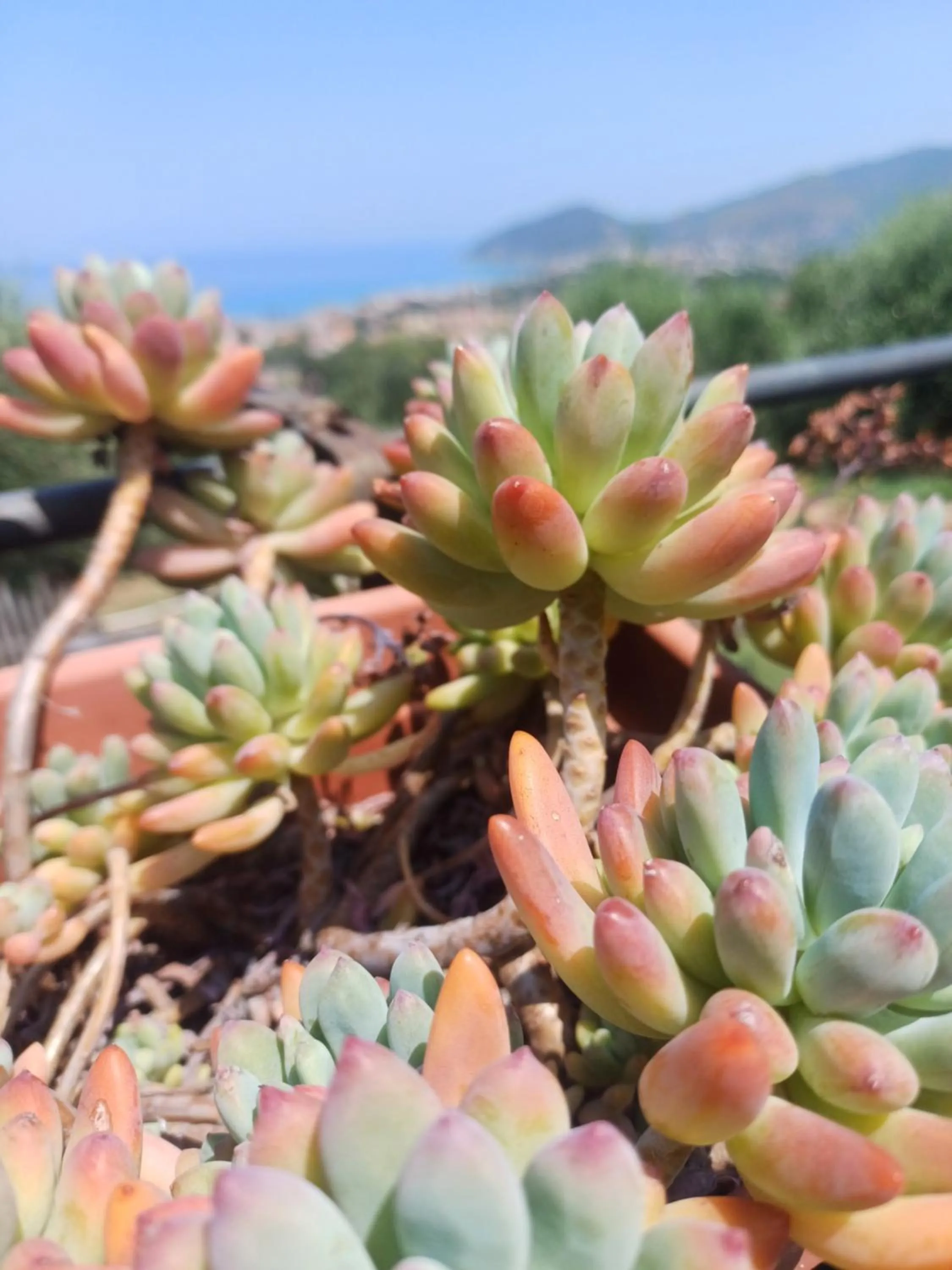Natural landscape in Dimora Acqua del Fico