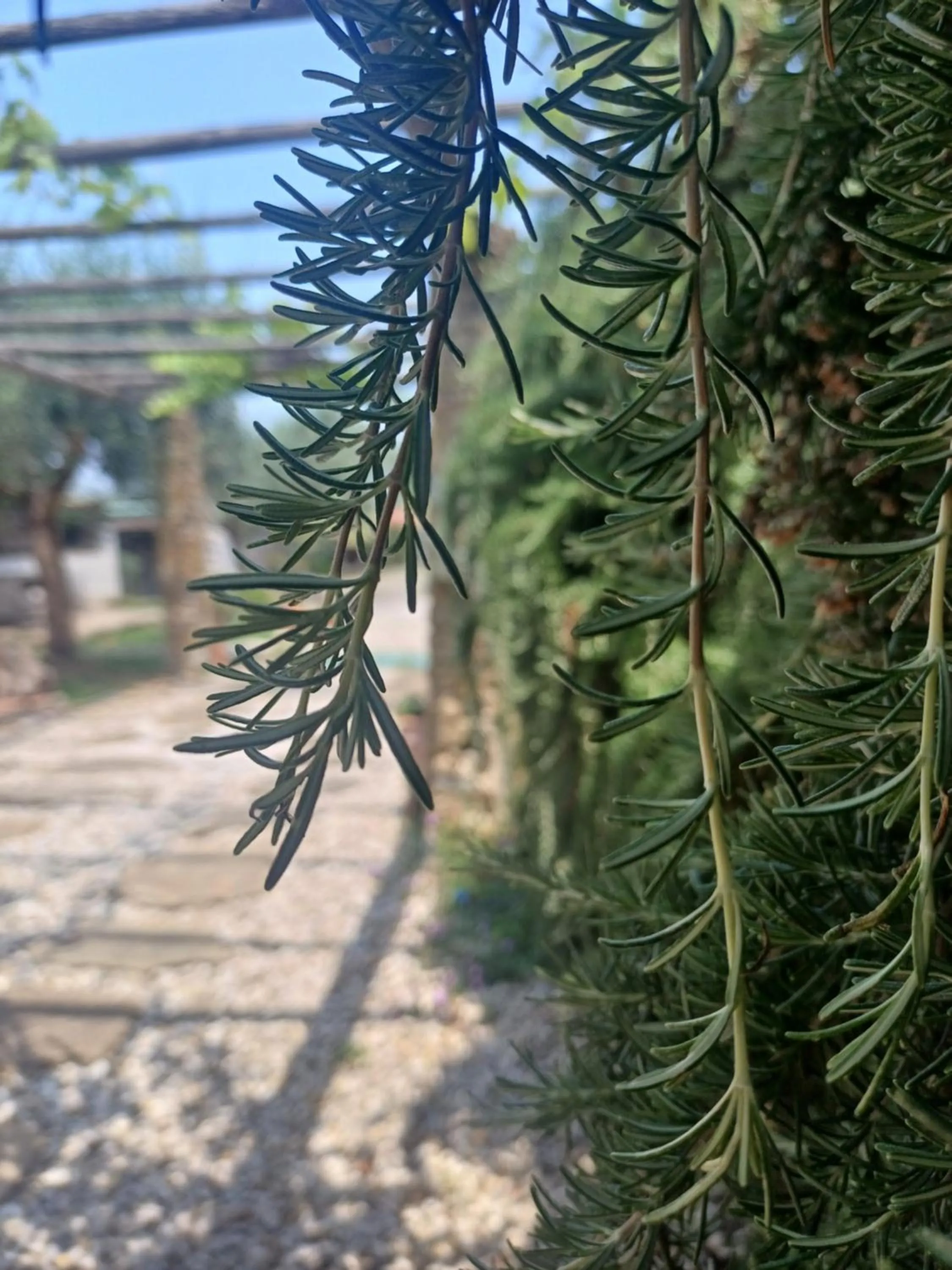 Natural landscape in Dimora Acqua del Fico