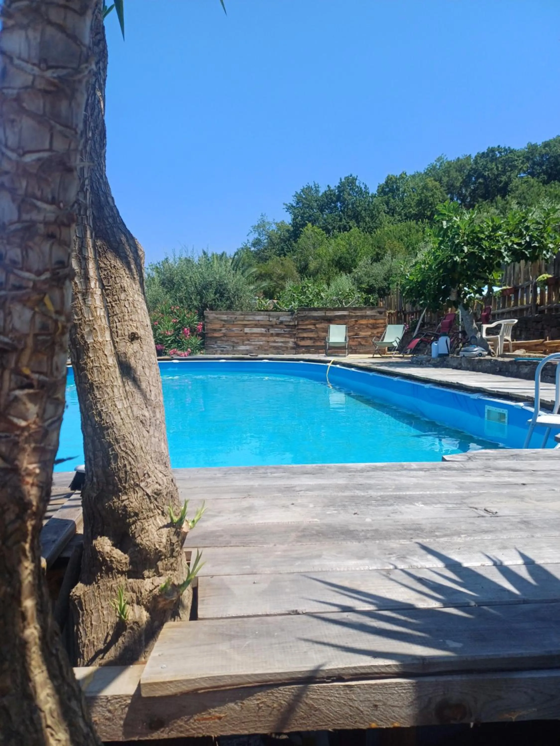 Swimming pool in Dimora Acqua del Fico