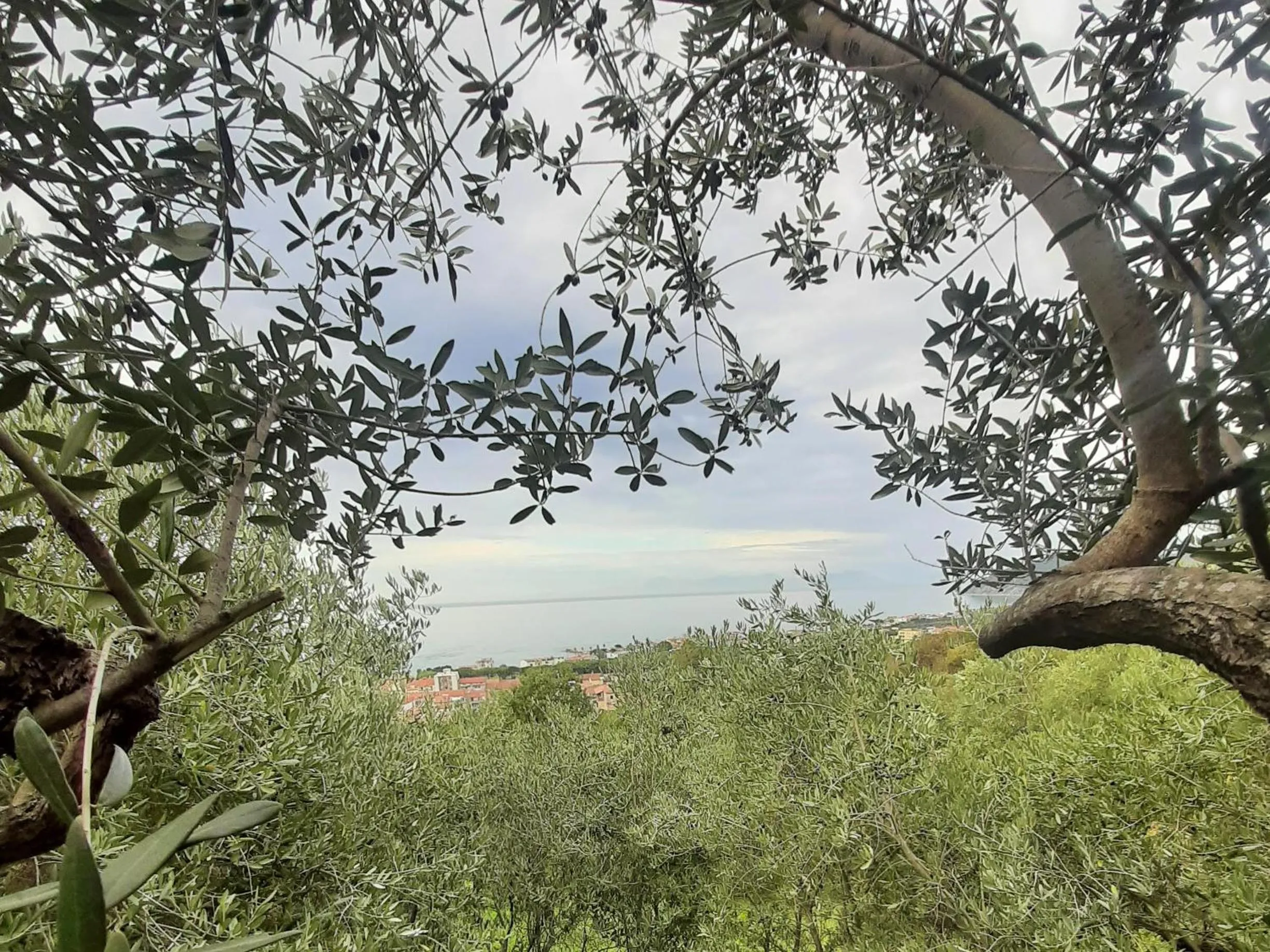 Day in Dimora Acqua del Fico