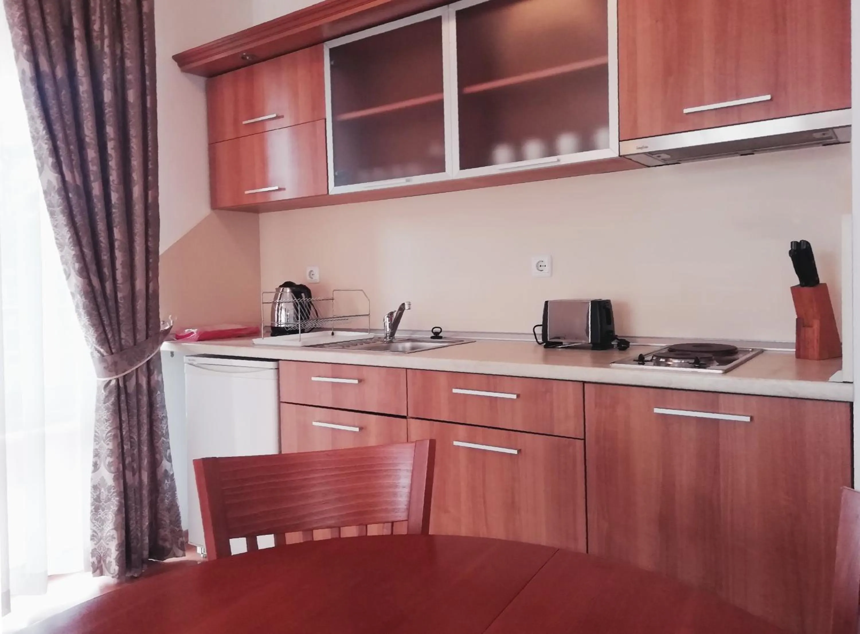 Kitchen or kitchenette in Apart Hotel Efir