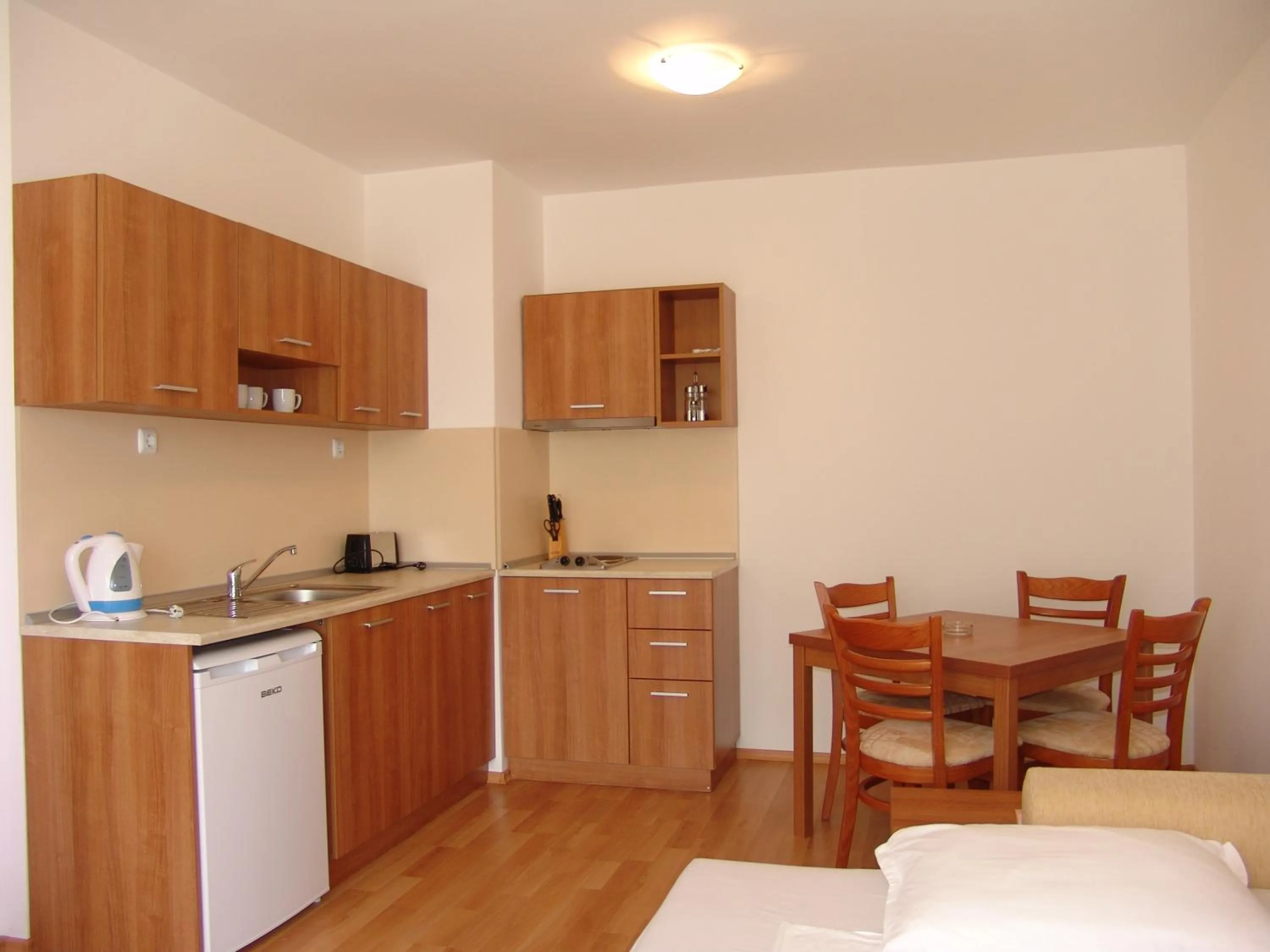 Kitchen or kitchenette in Apart Hotel Kasandra