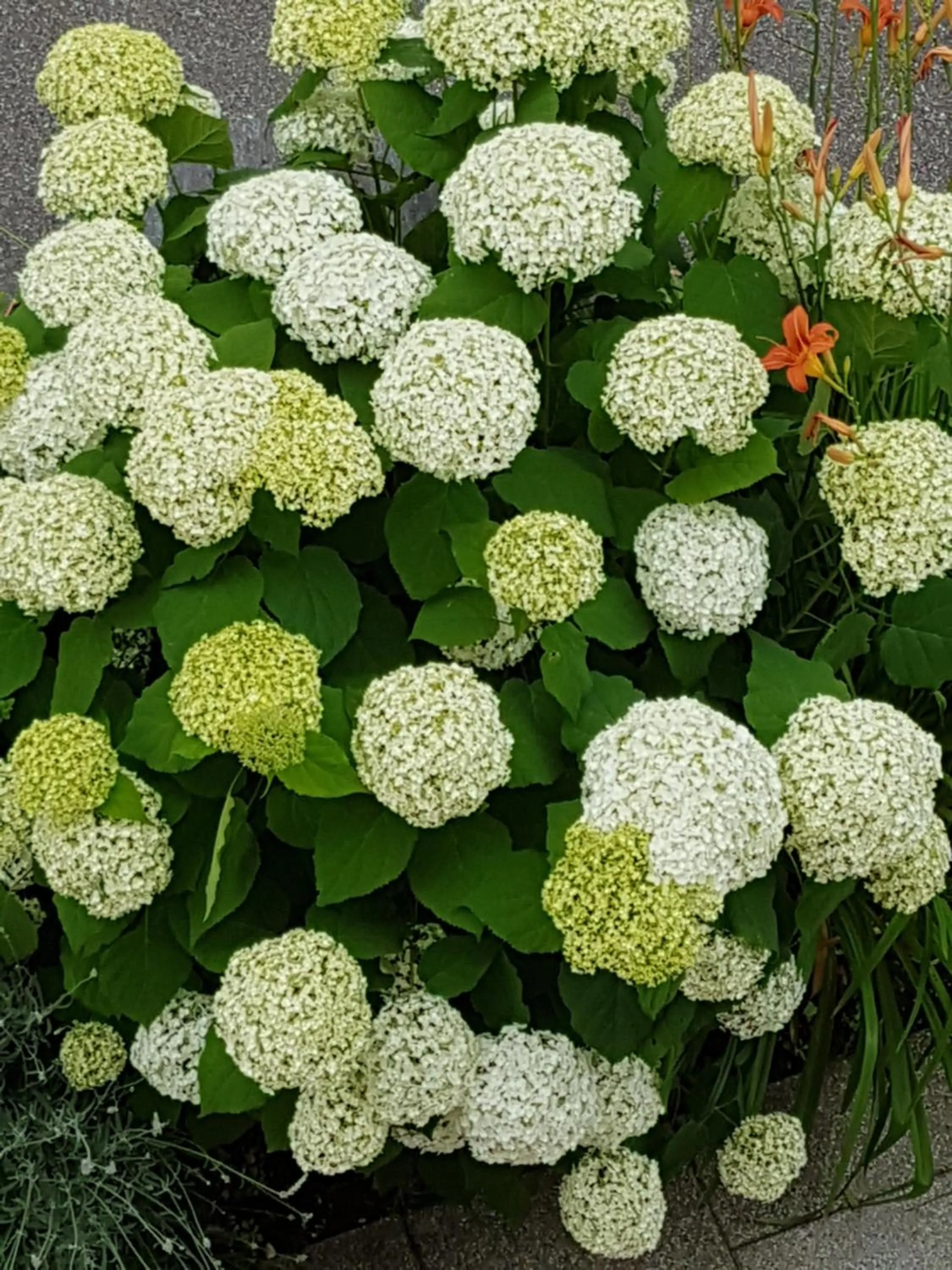 Bird's eye view in Niros Bed & Breakfast