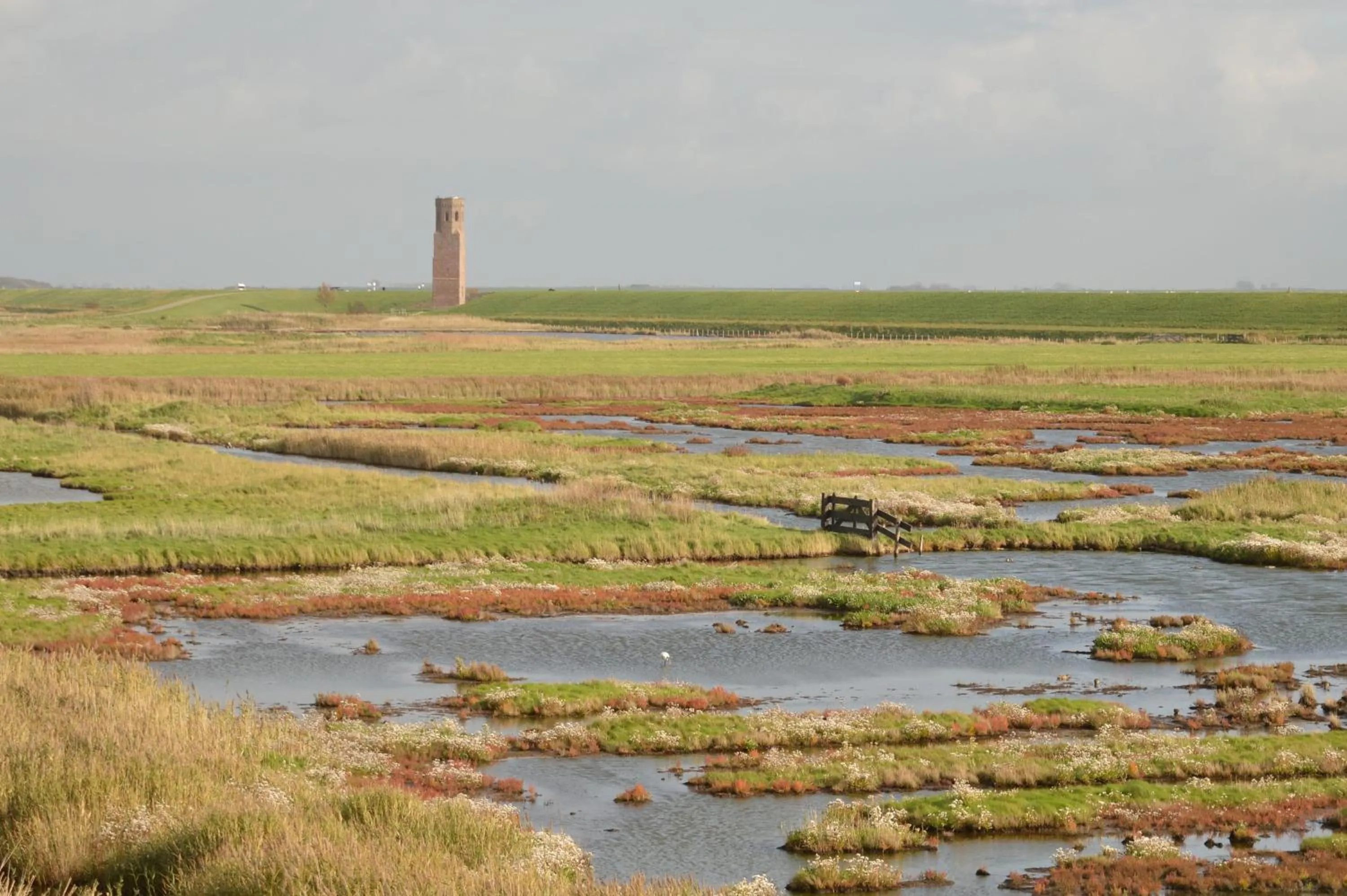 Natural landscape in t Laege Uus