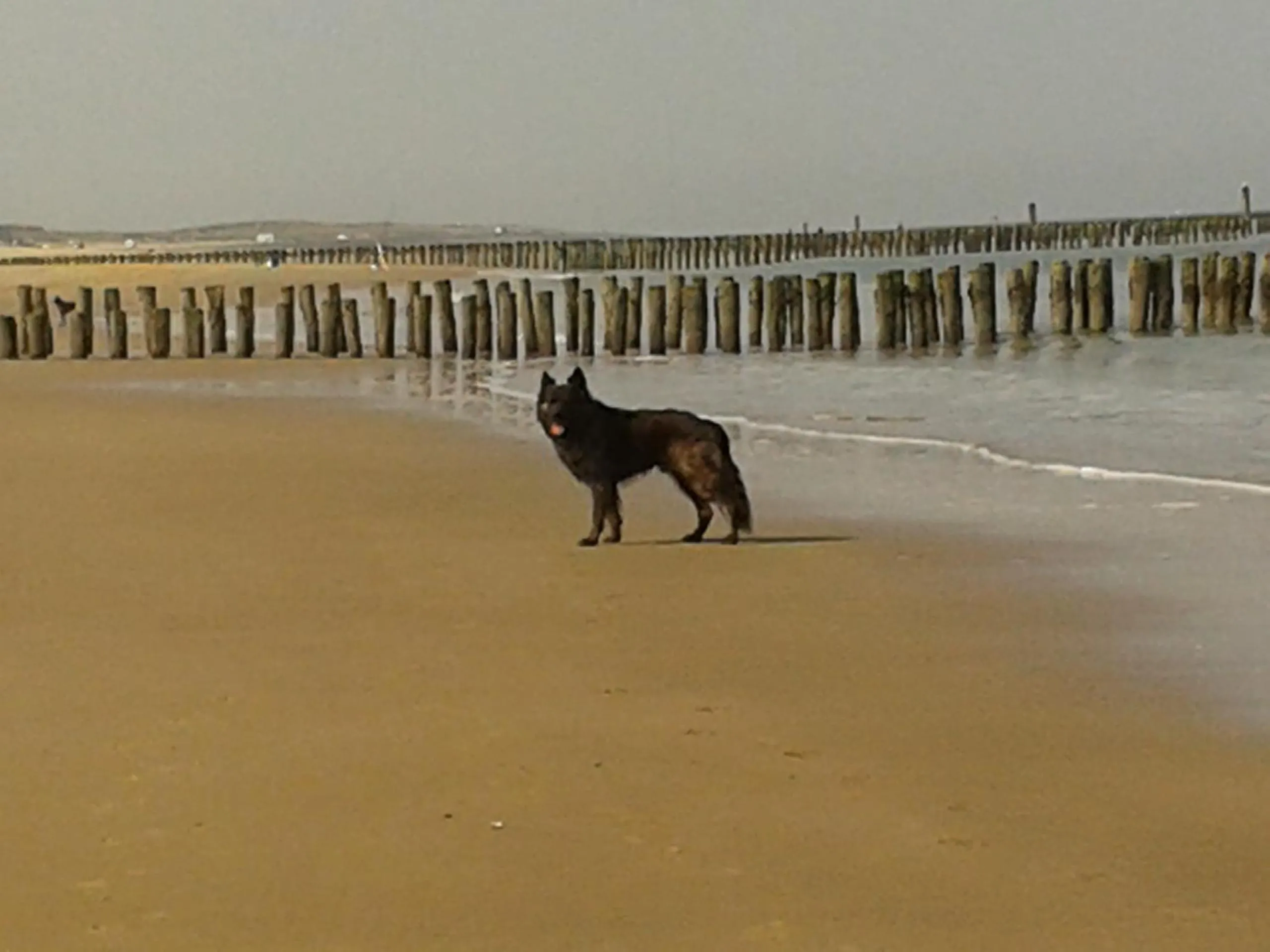 Beach in t Laege Uus
