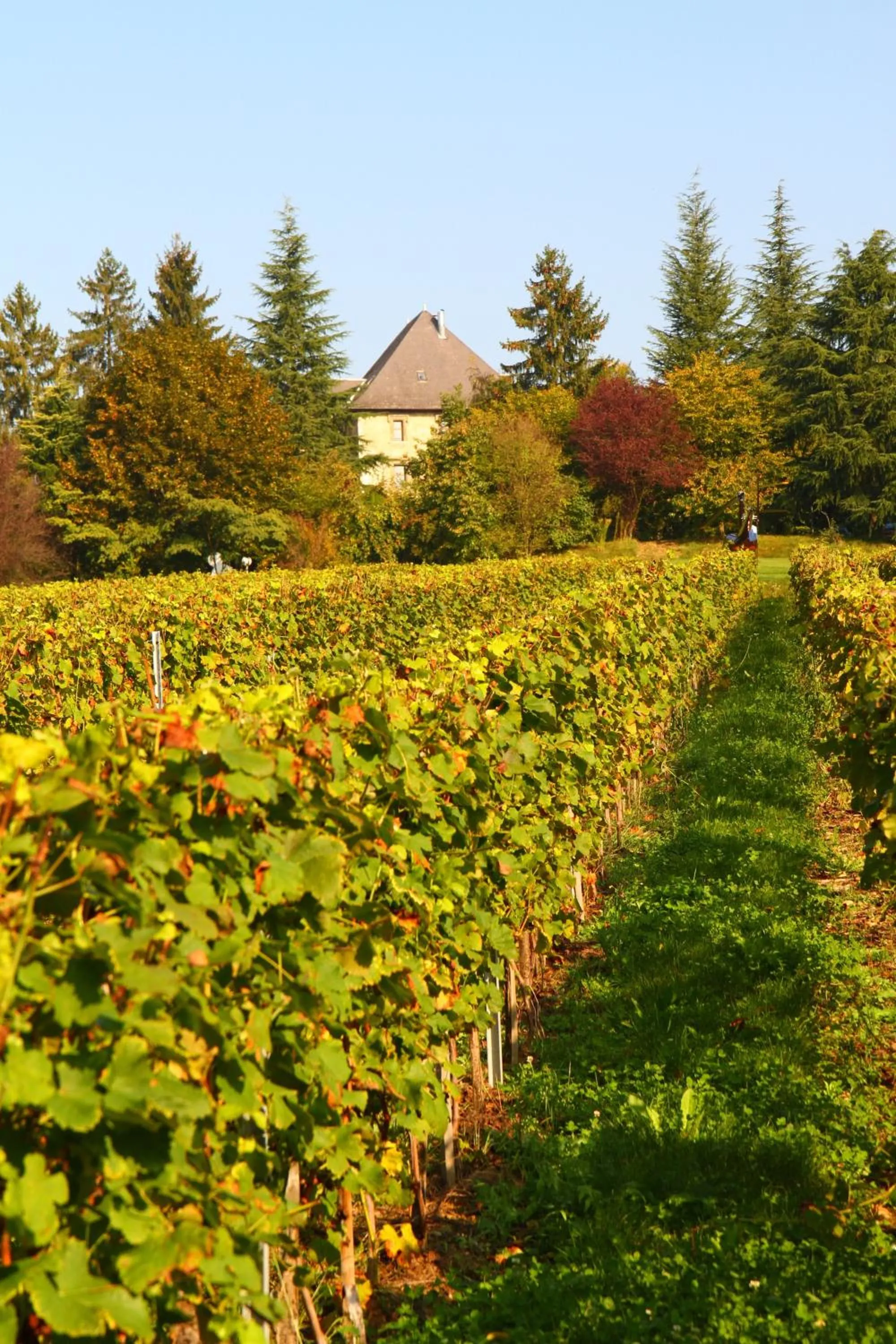 Summer in Château de Candie