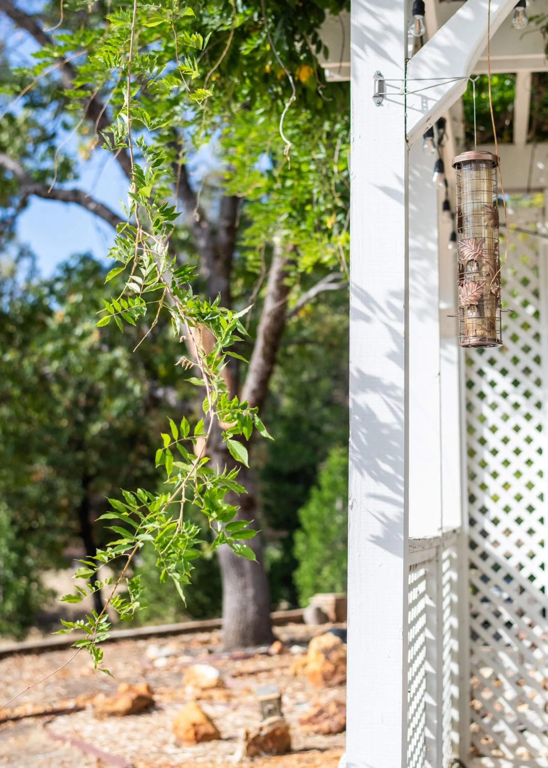 Decorative detail in Inn at Sugar Pine Ranch