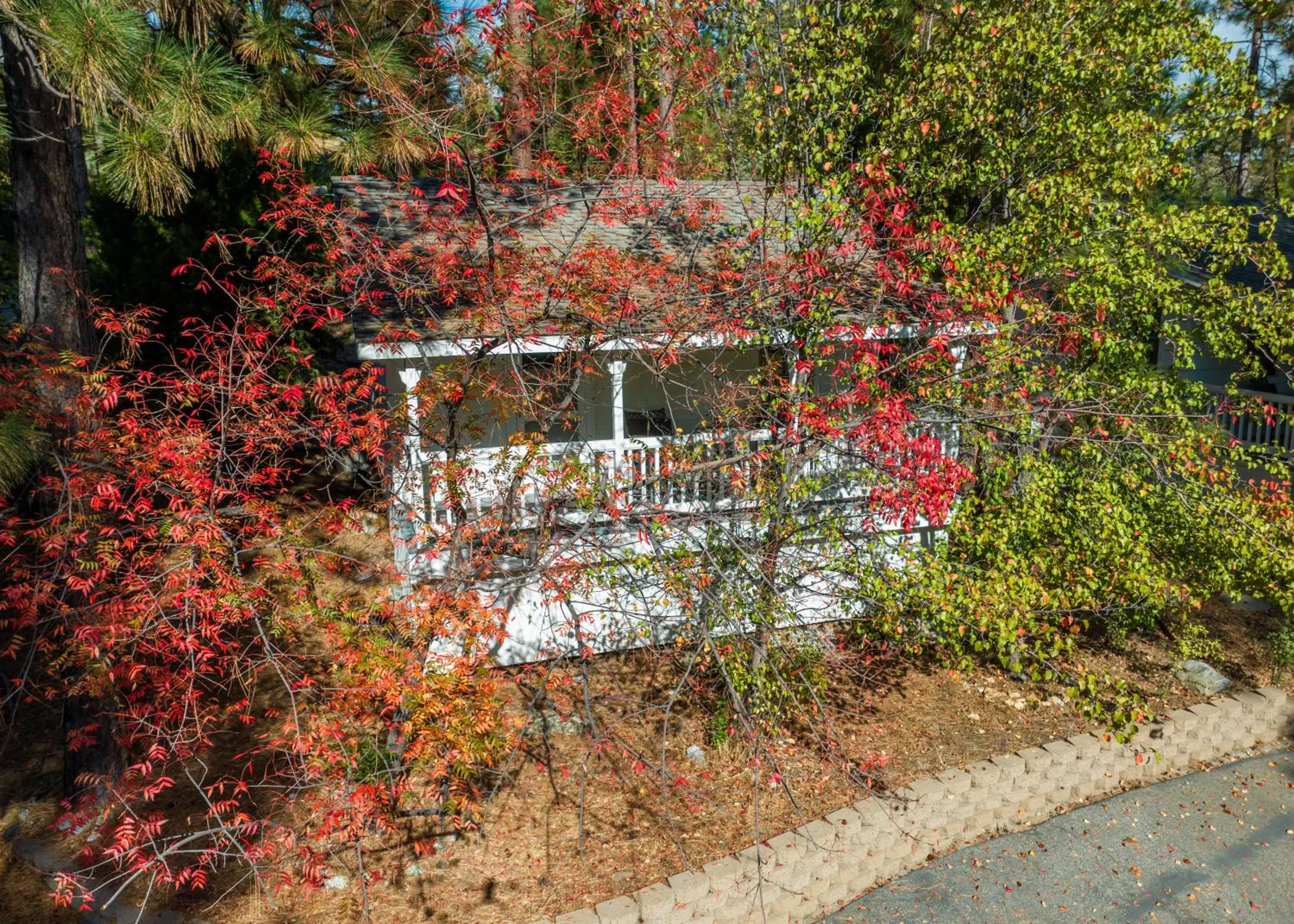 Natural landscape in Inn at Sugar Pine Ranch