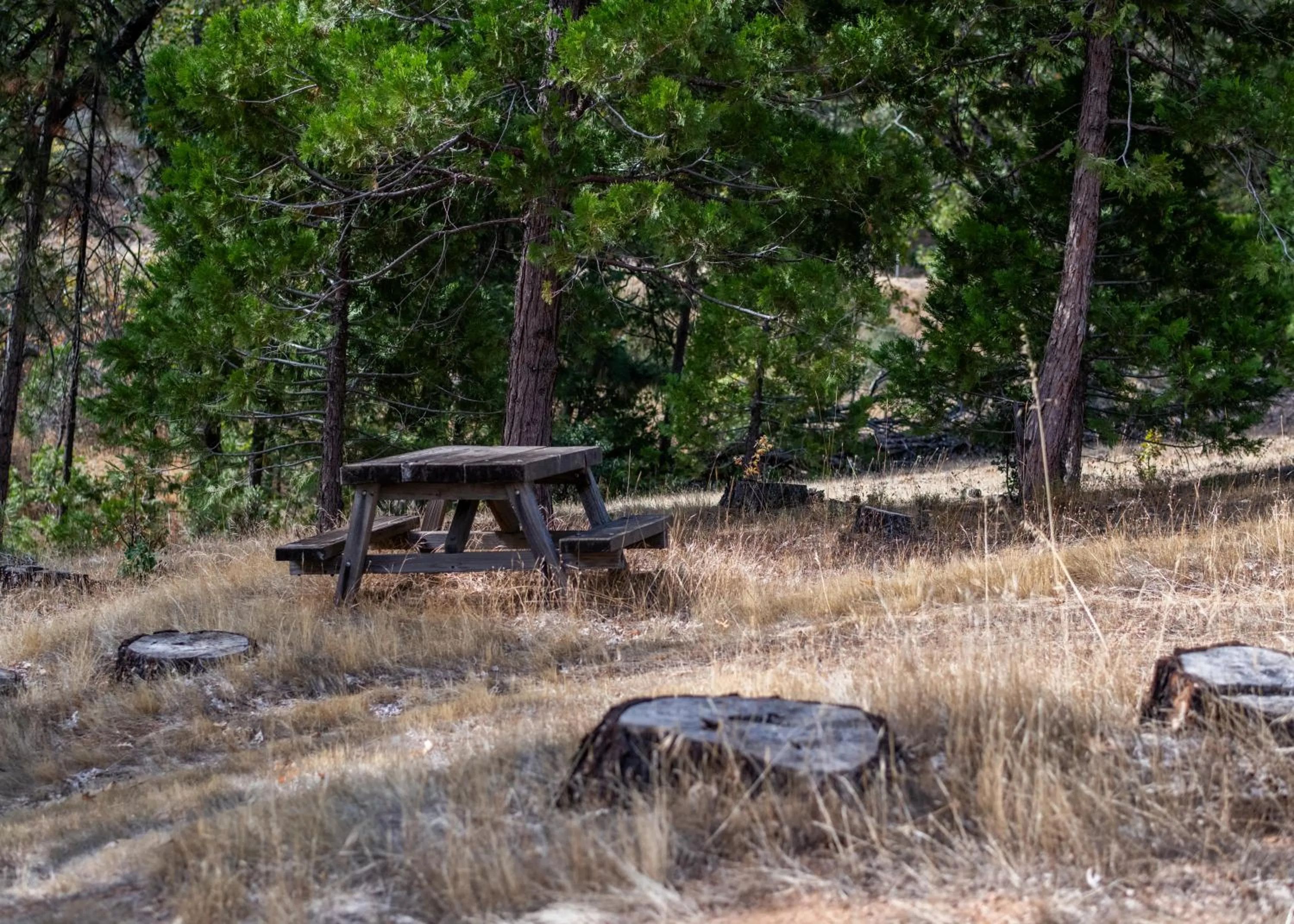 Decorative detail in Inn at Sugar Pine Ranch