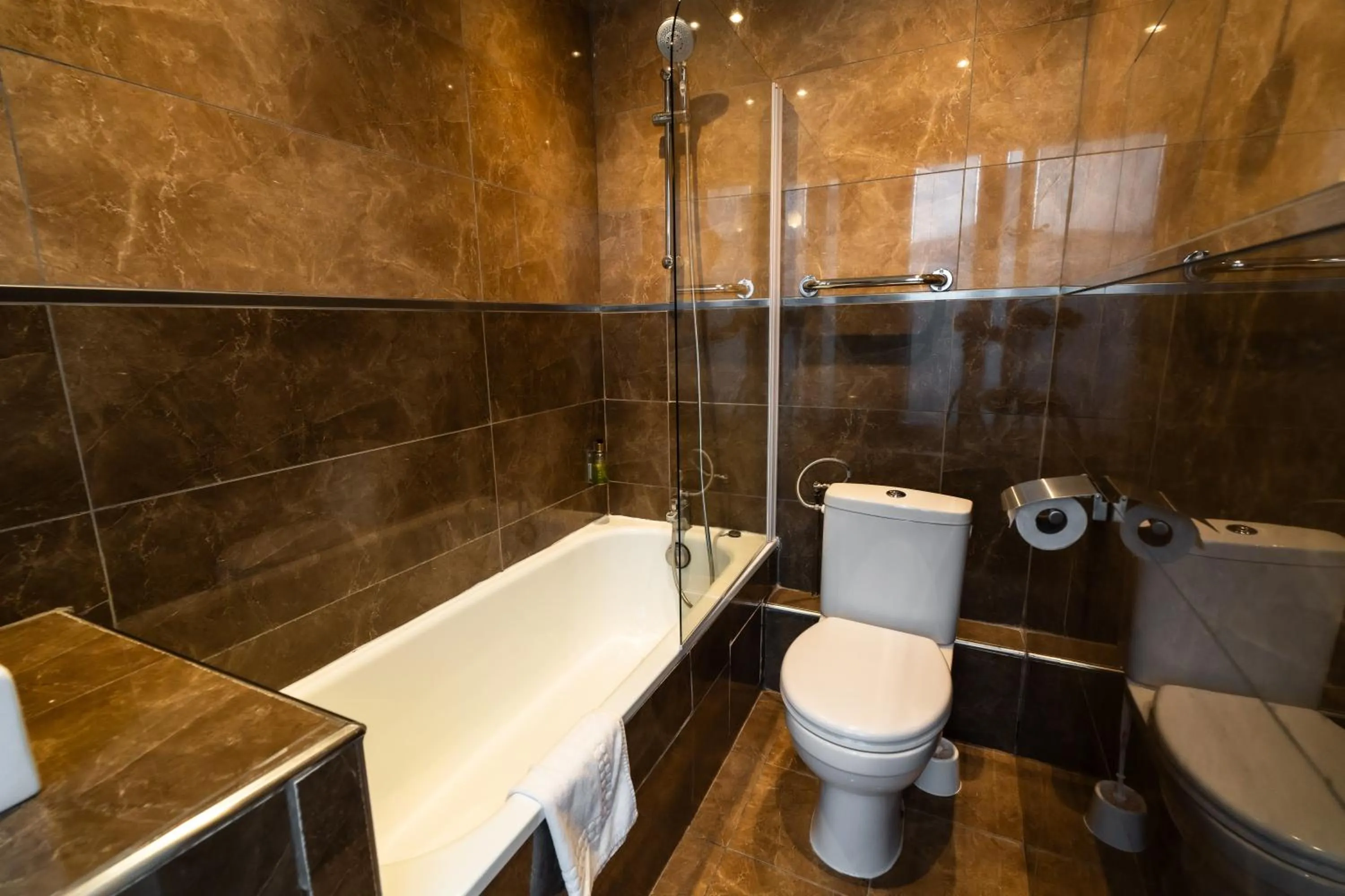 Bathroom in Brueghel