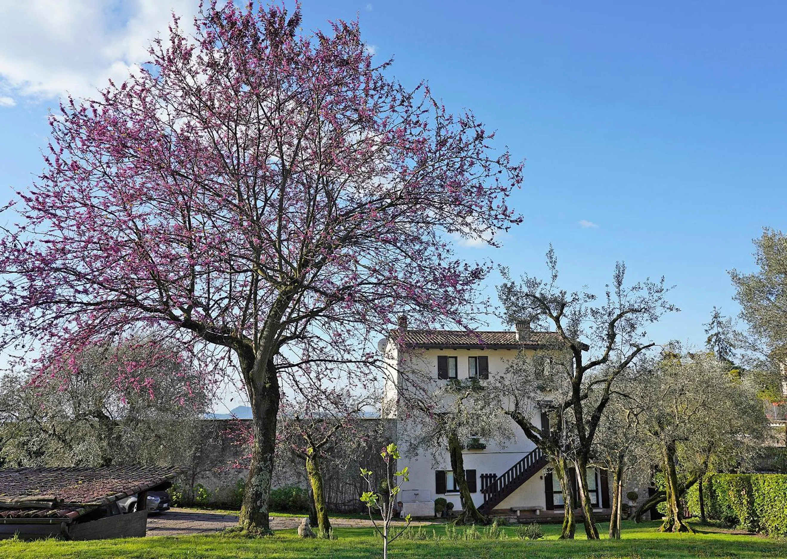 Facade/entrance in Il Chiostrino