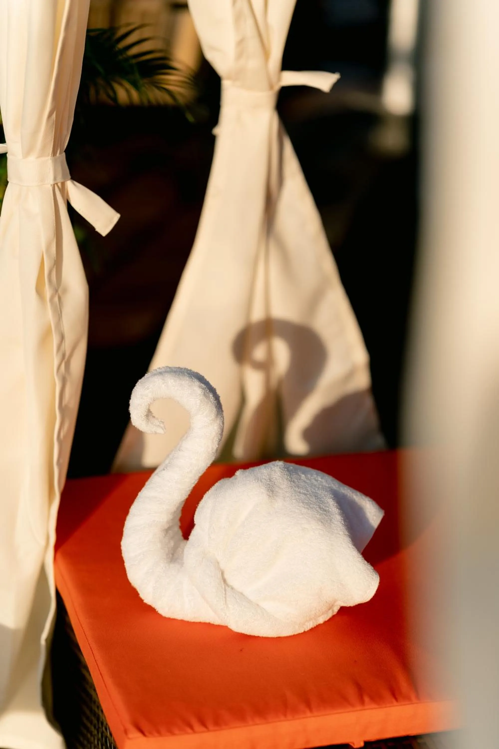 Swimming pool in 36Manor International Sport Hotel