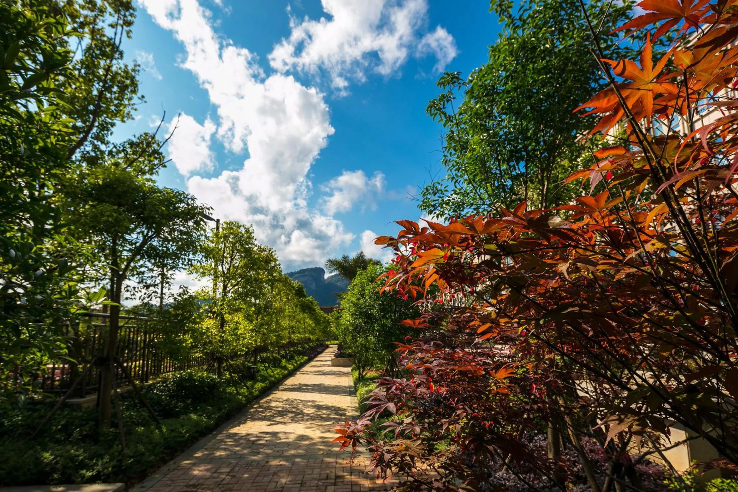 Millennium Resort Wuyishan