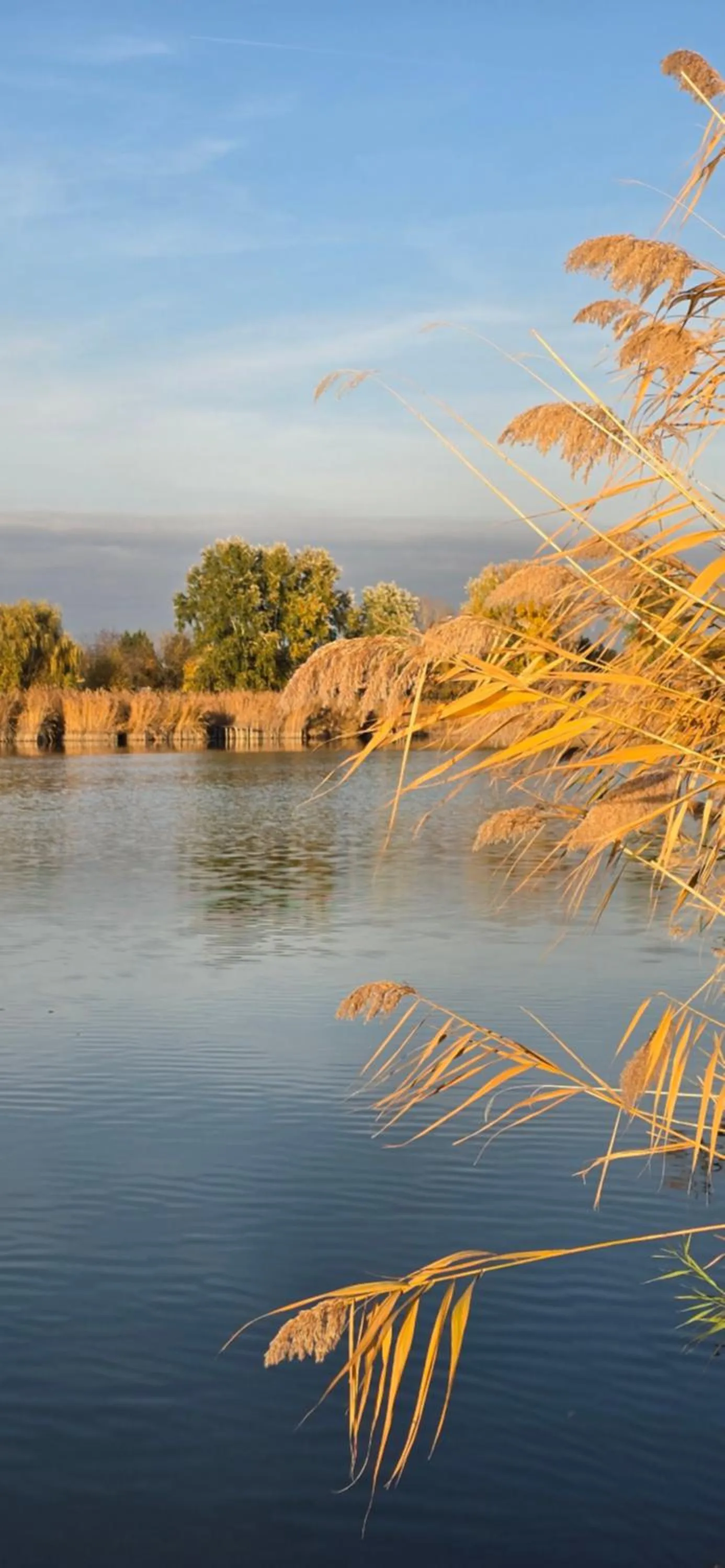 Natural landscape in Anna-Lak