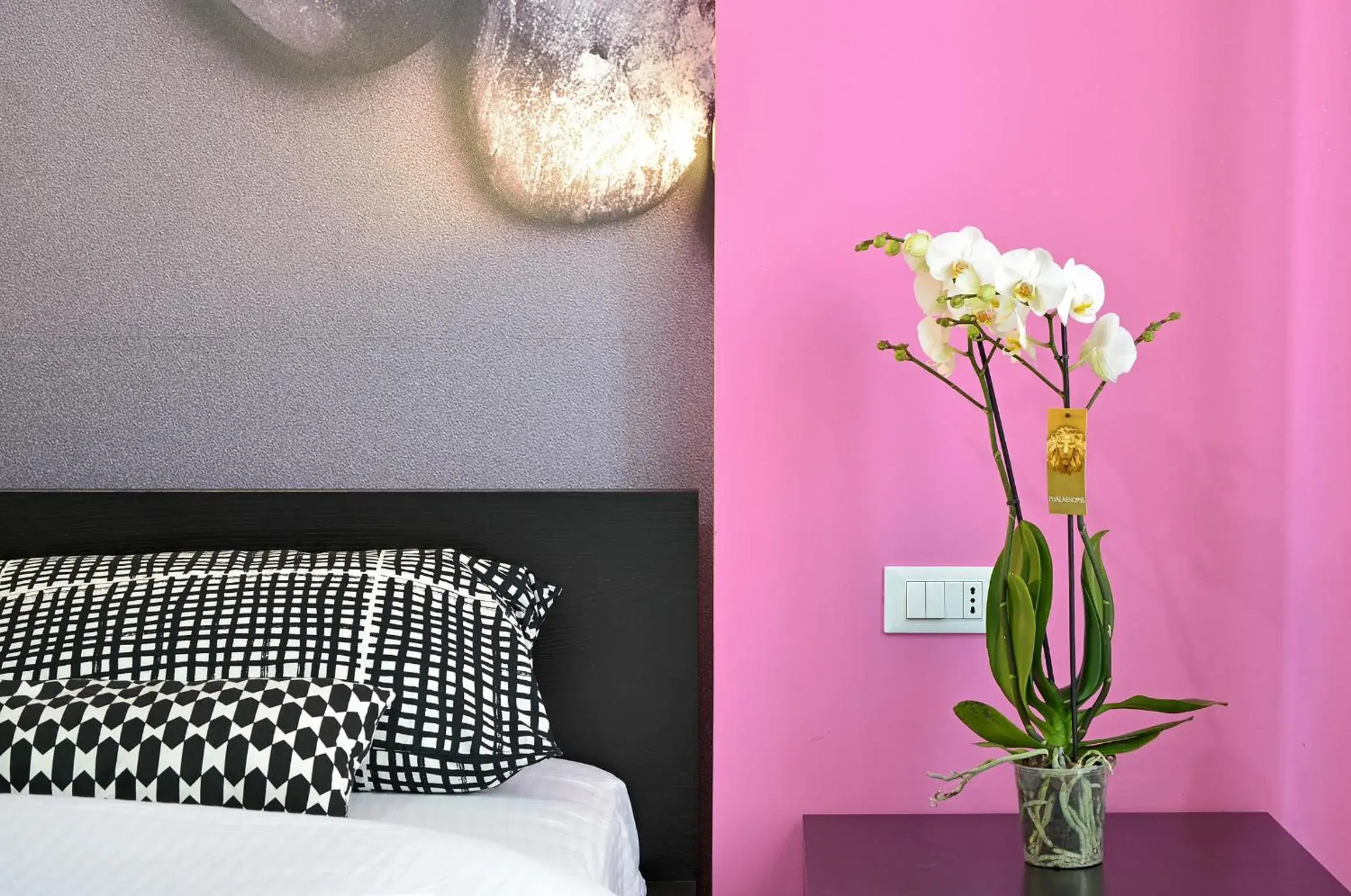 Double Room in G&G Trastevere Double Room in G&G Trastevere