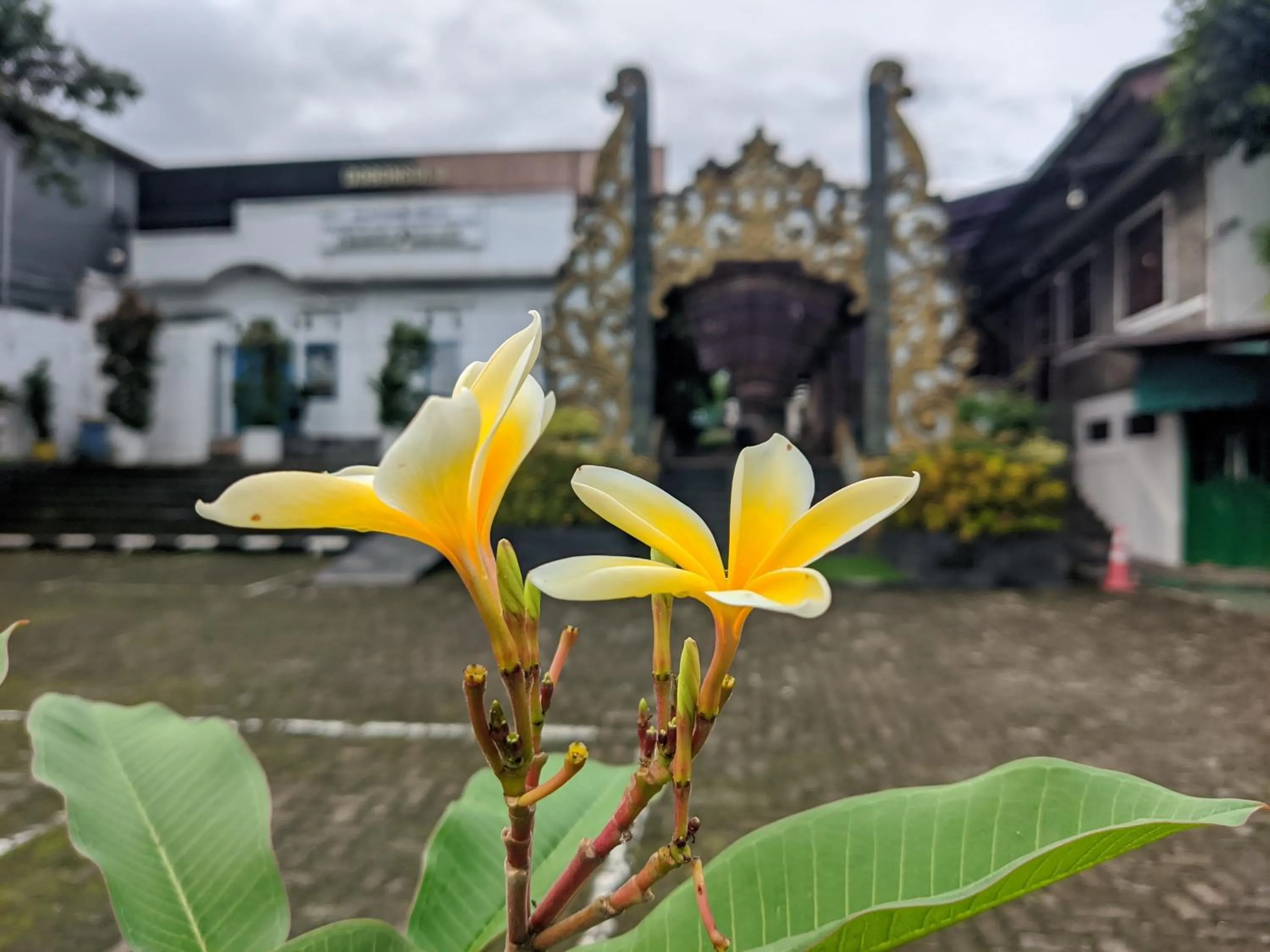 Hotel Bahtera PT.Pelni