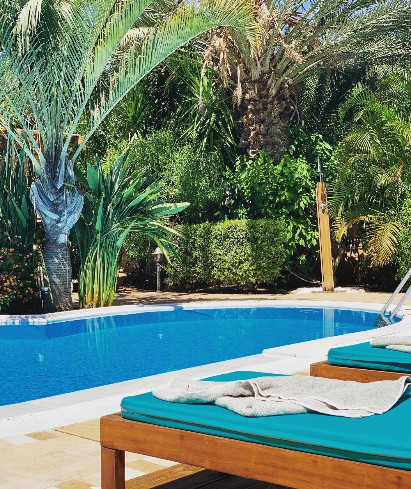 Swimming pool in Pandora Villas