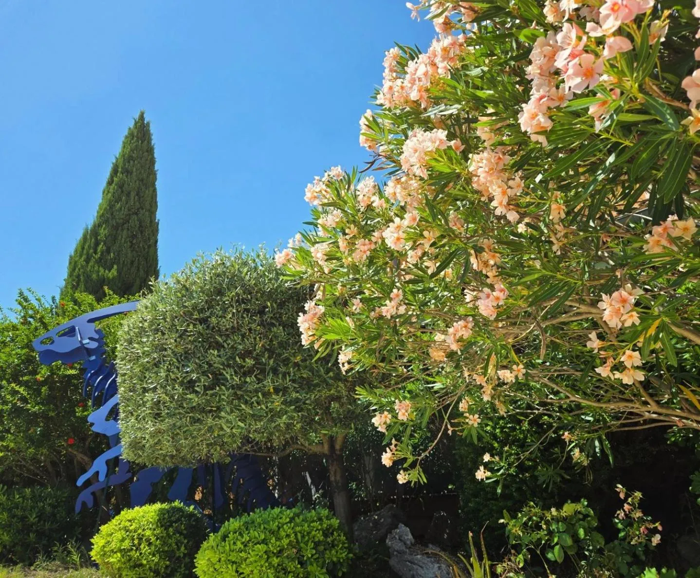 Garden view in Hôtel Le SAINT-GENIÈS