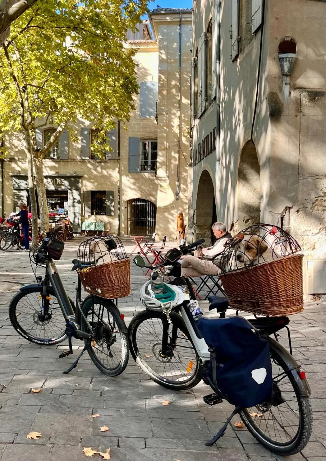 Day in Hôtel Le SAINT-GENIÈS