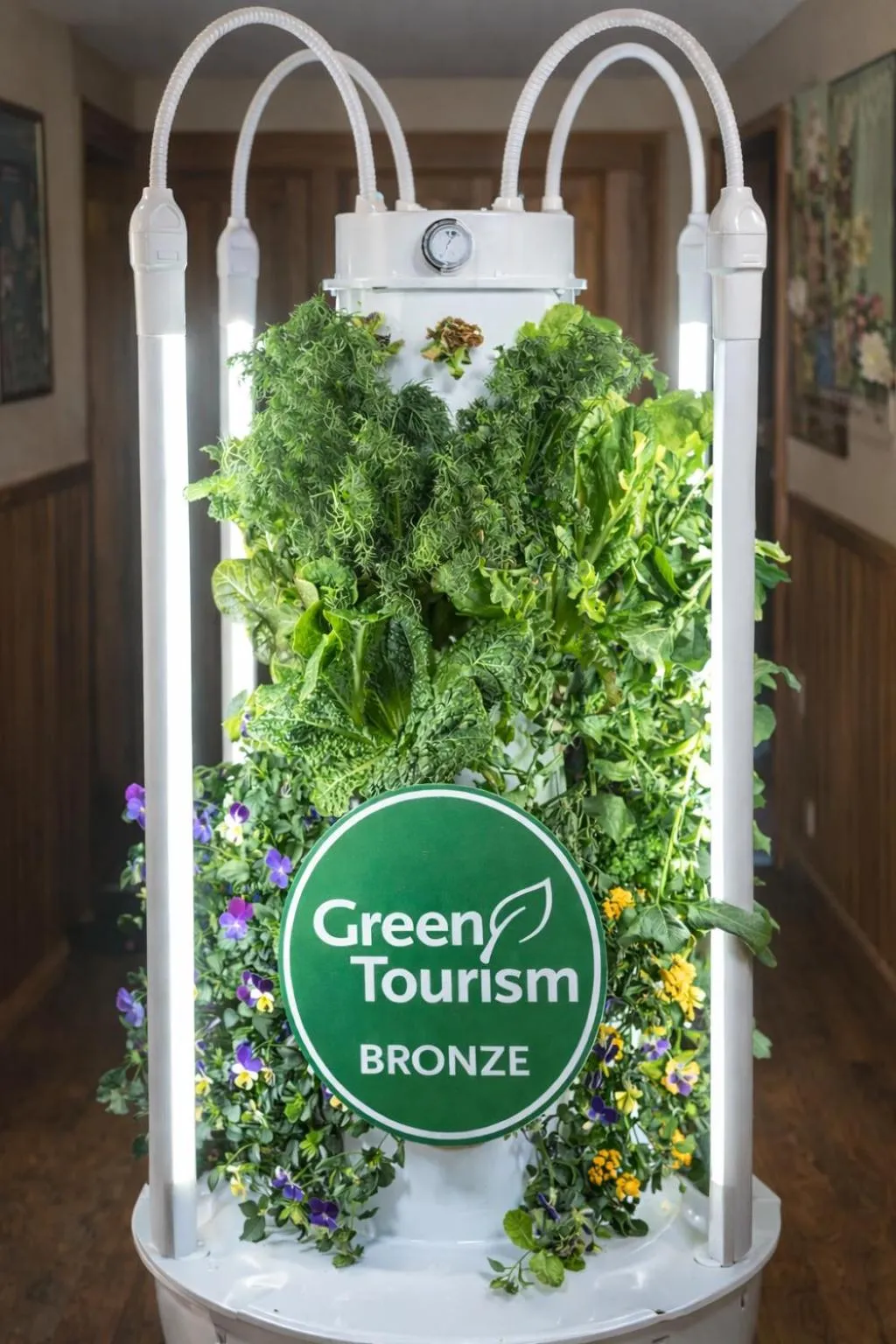 Garden in The Queen, A Victorian Bed & Breakfast