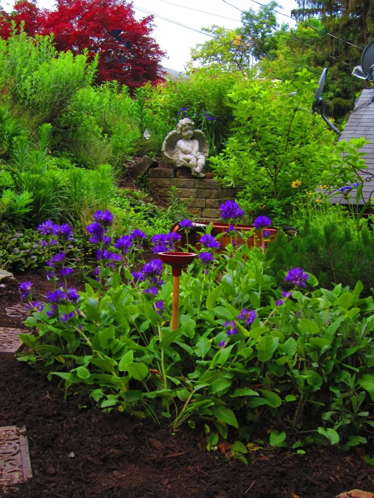 Spring in The Queen, A Victorian Bed & Breakfast