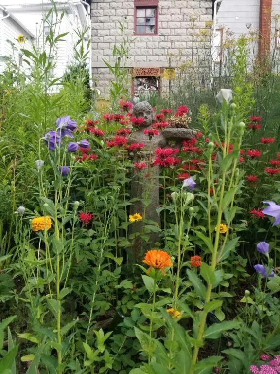 Garden in The Queen, A Victorian Bed & Breakfast