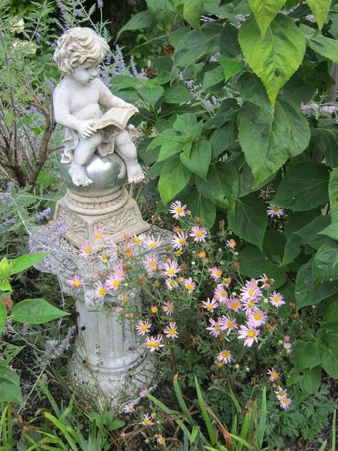 Garden in The Queen, A Victorian Bed & Breakfast