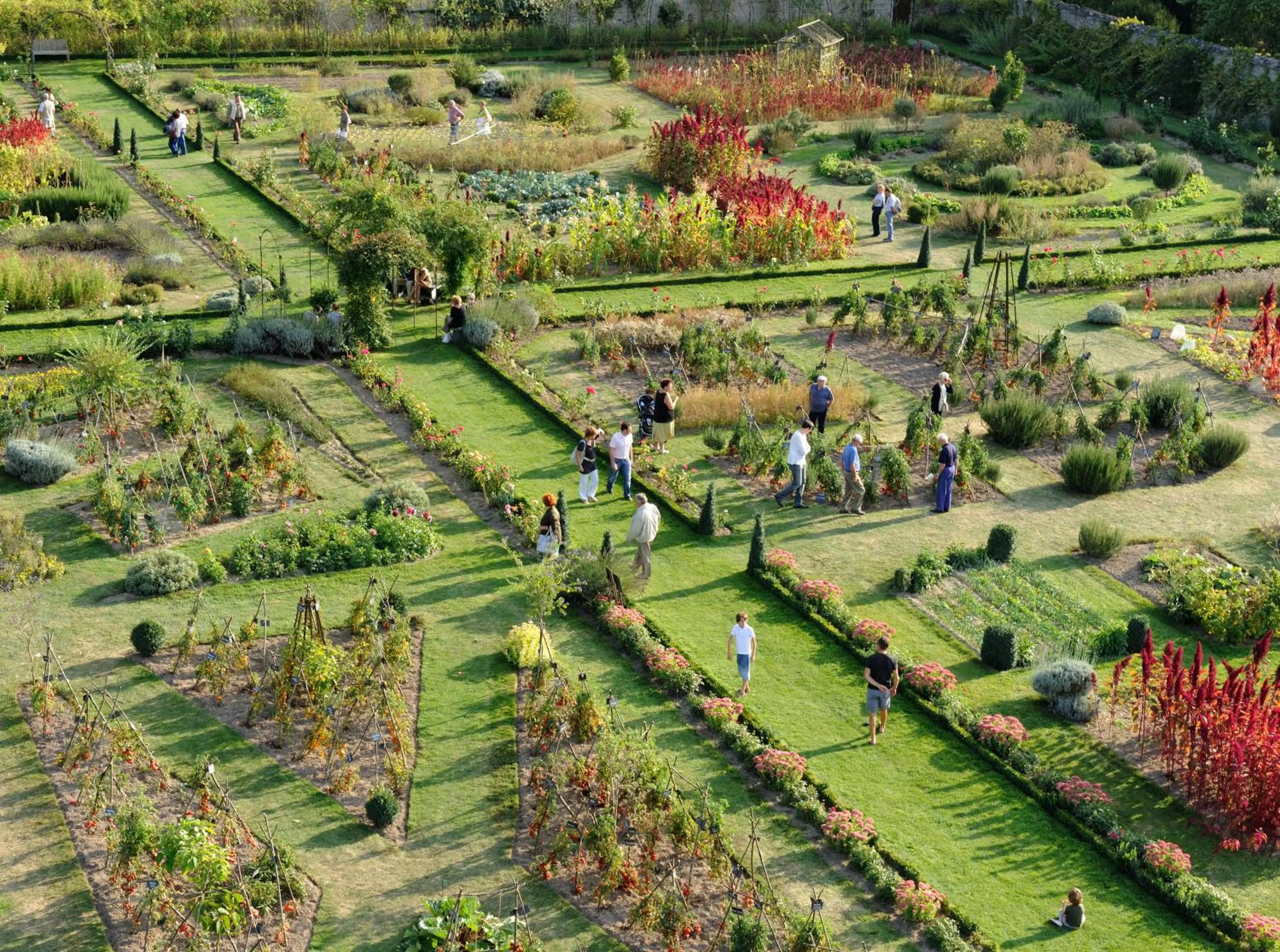 Bird's eye view in Château De La Bourdaisière