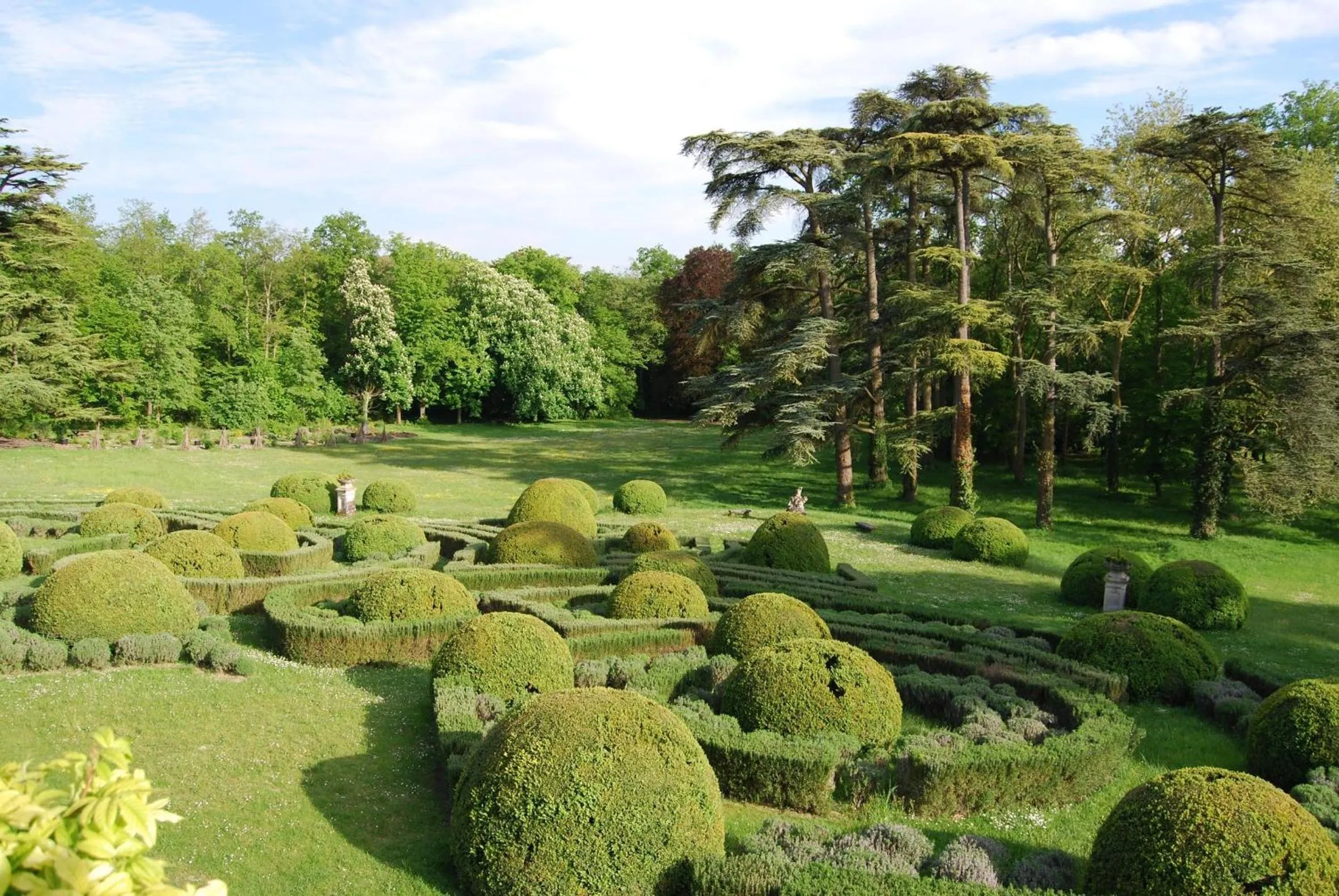 Garden in Château De La Bourdaisière