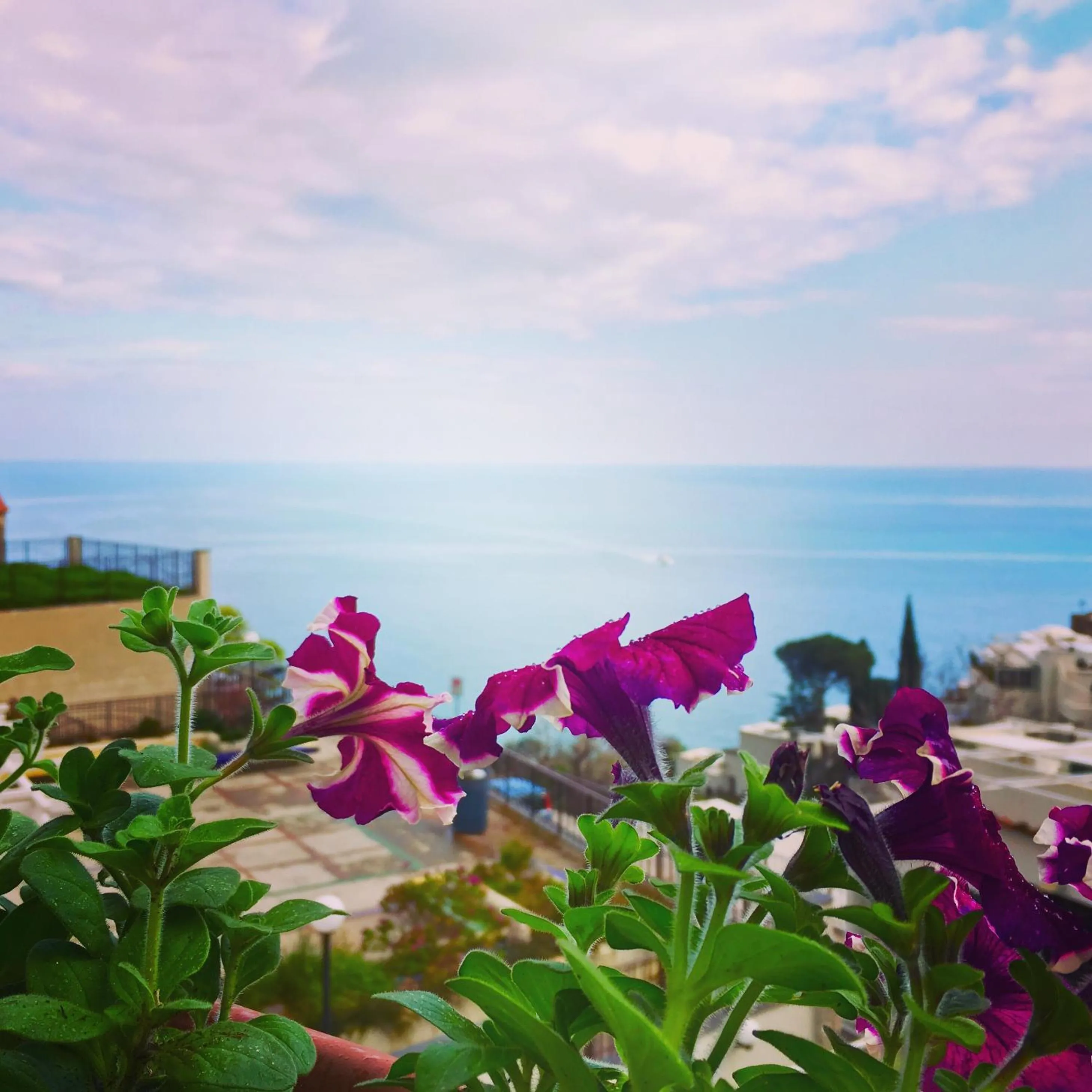 City view in Hotel Villa Delle Palme in Positano