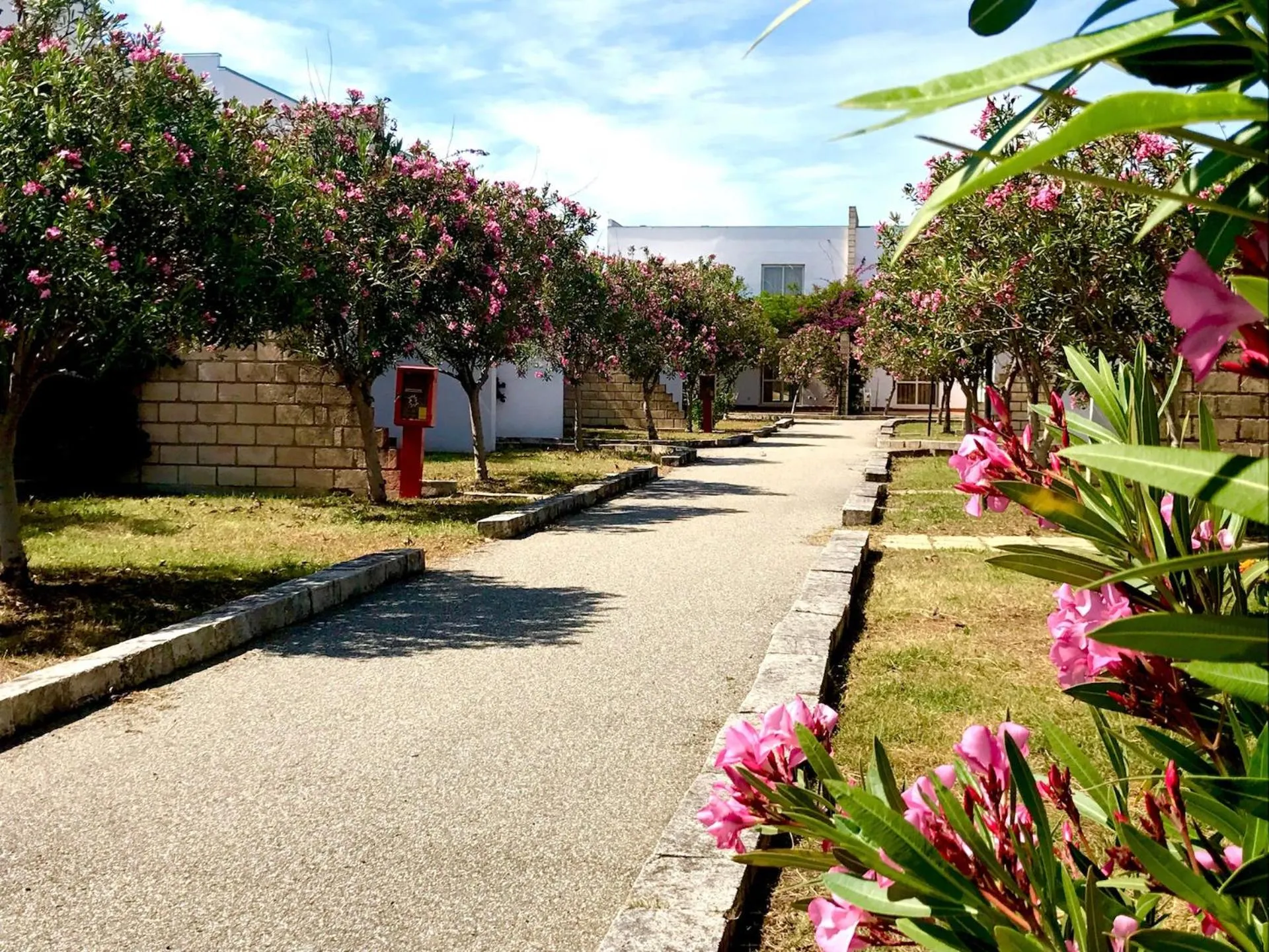 Garden in Club Esse Sunbeach