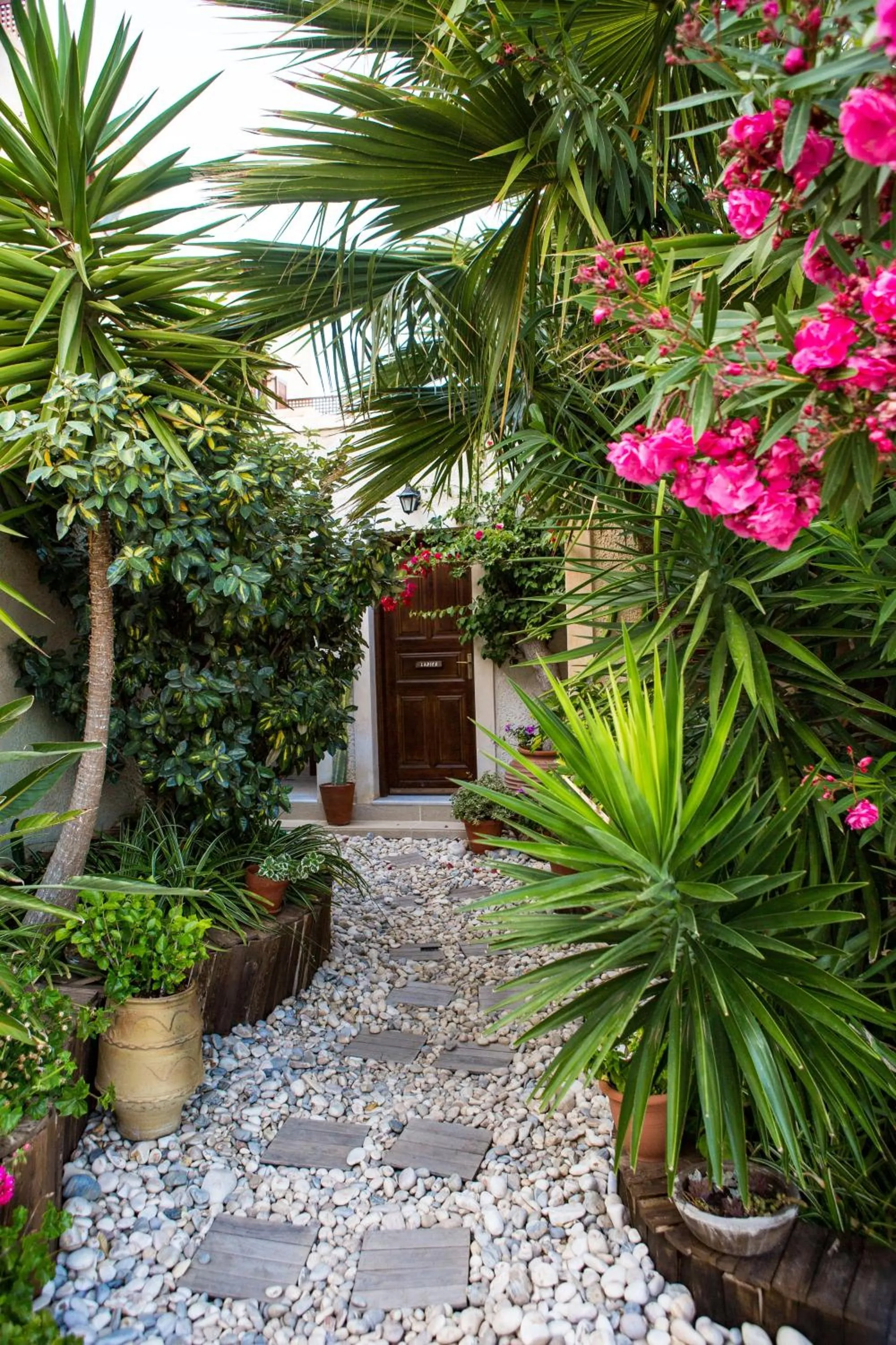 Garden in Seabreeze Hotel Ios
