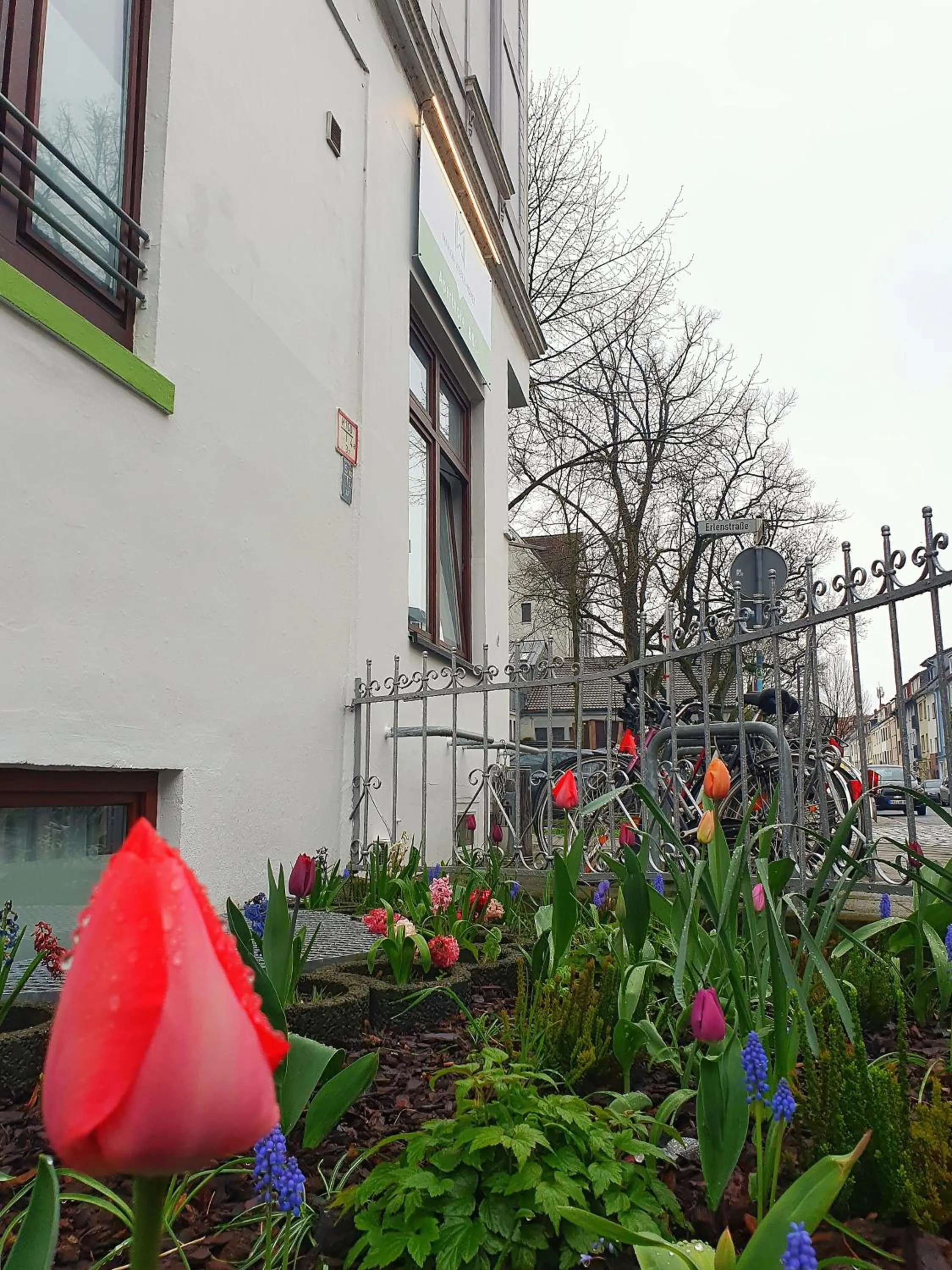 Garden in Aparthotel B & L