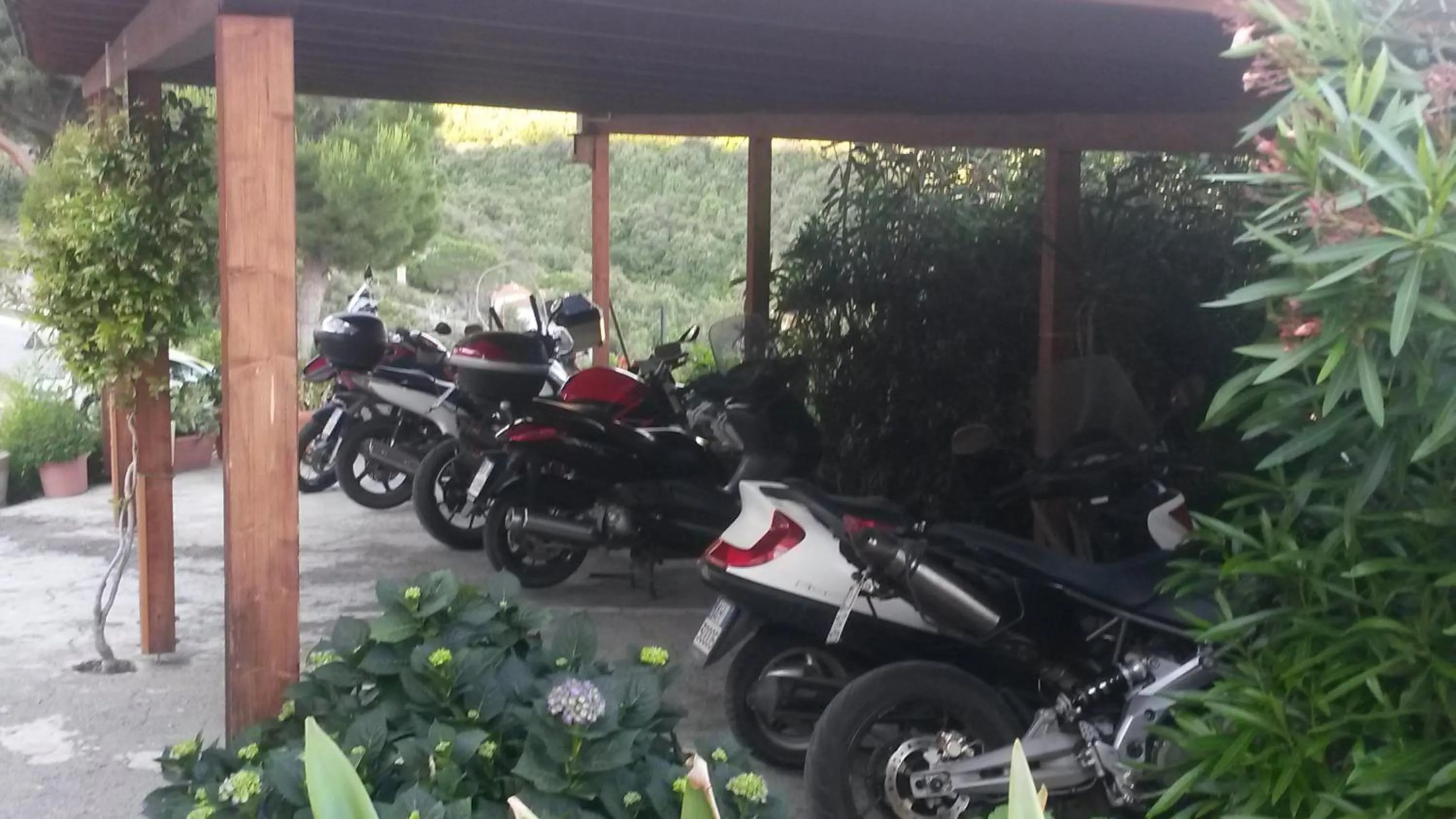 Activities in Hotel Villa Rita