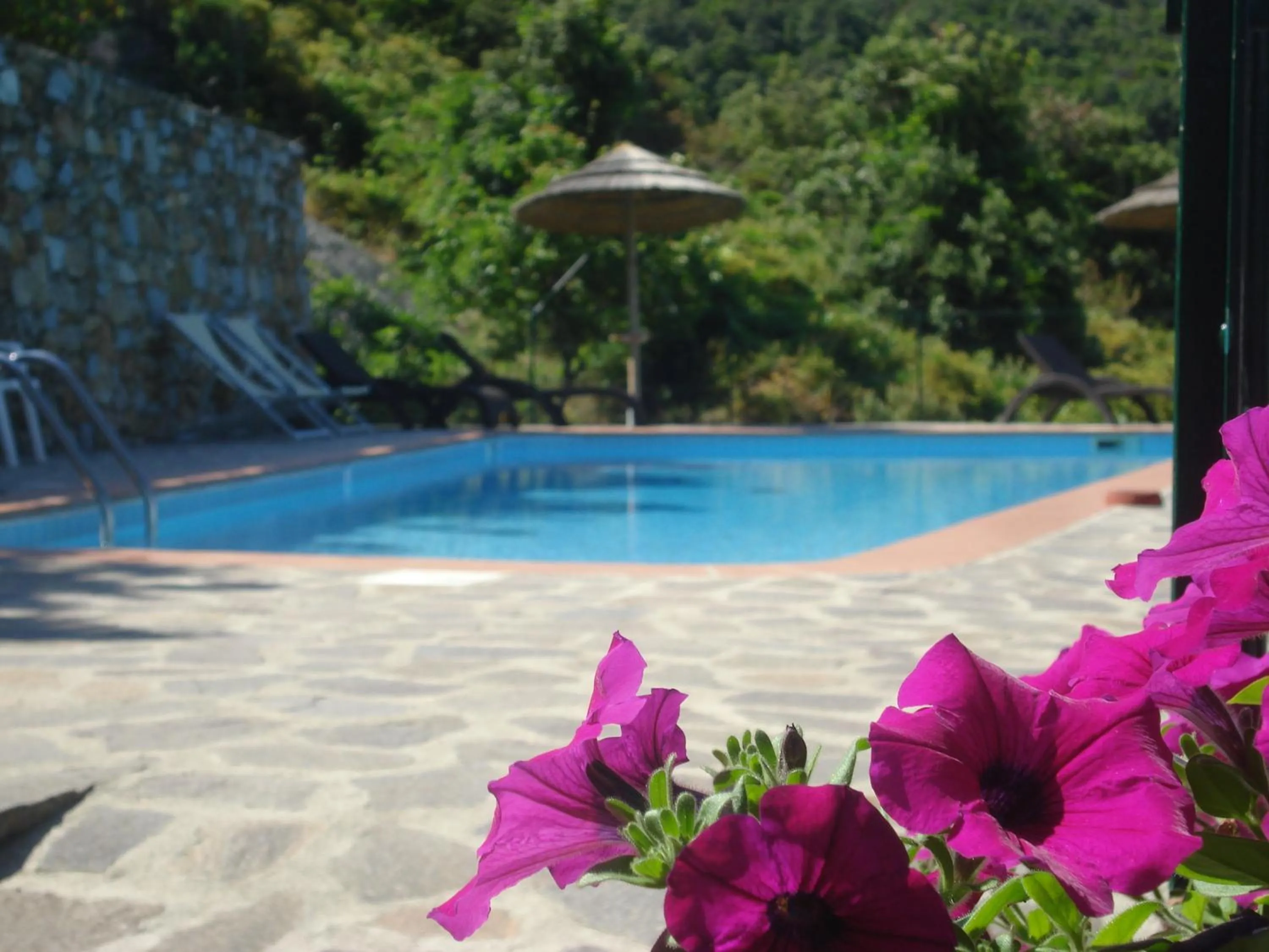 Swimming pool in Hotel Villa Rita