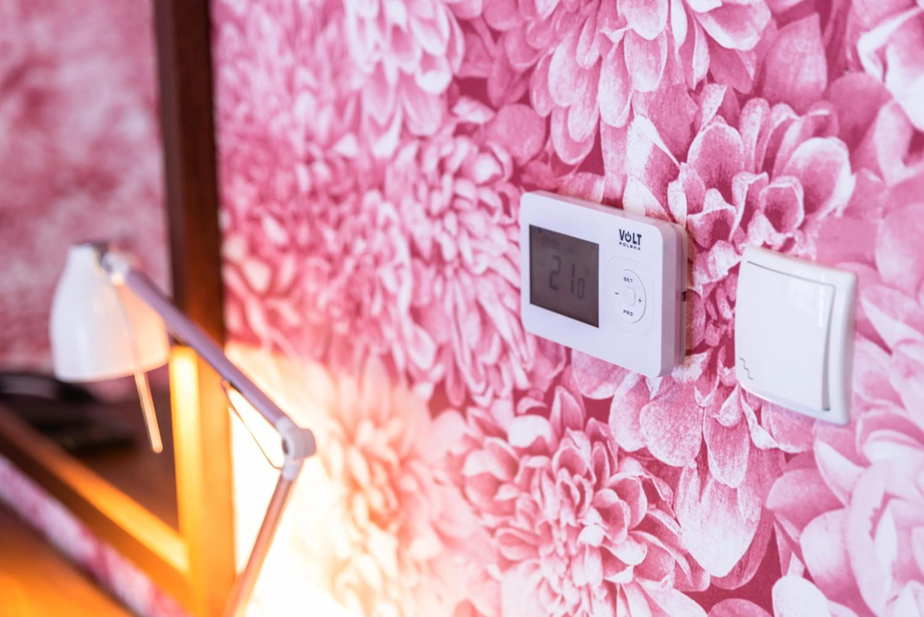 internet in Flinski Sport X SPA, Boutique X Art