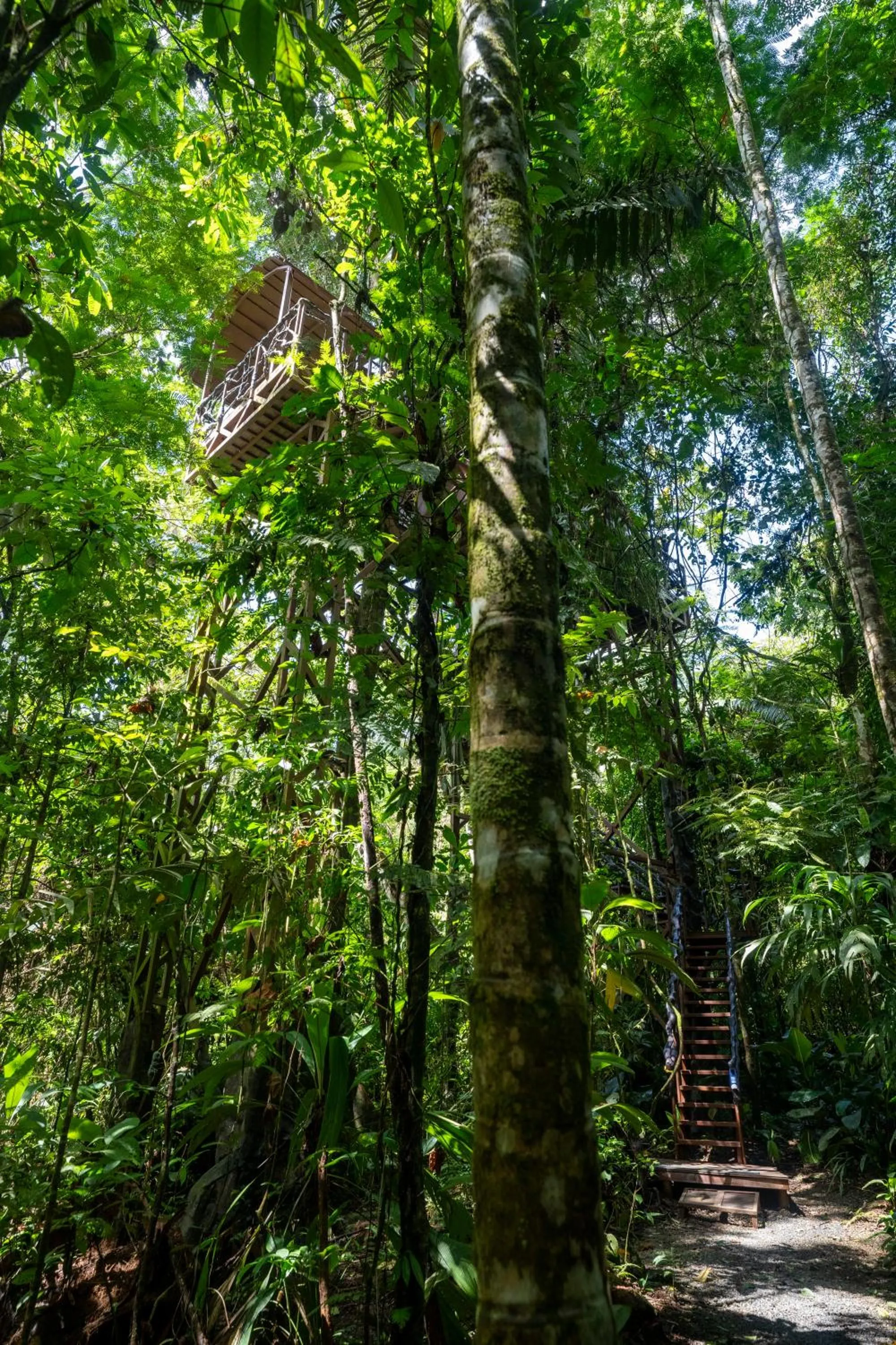 Natural landscape in Maquenque Lodge
