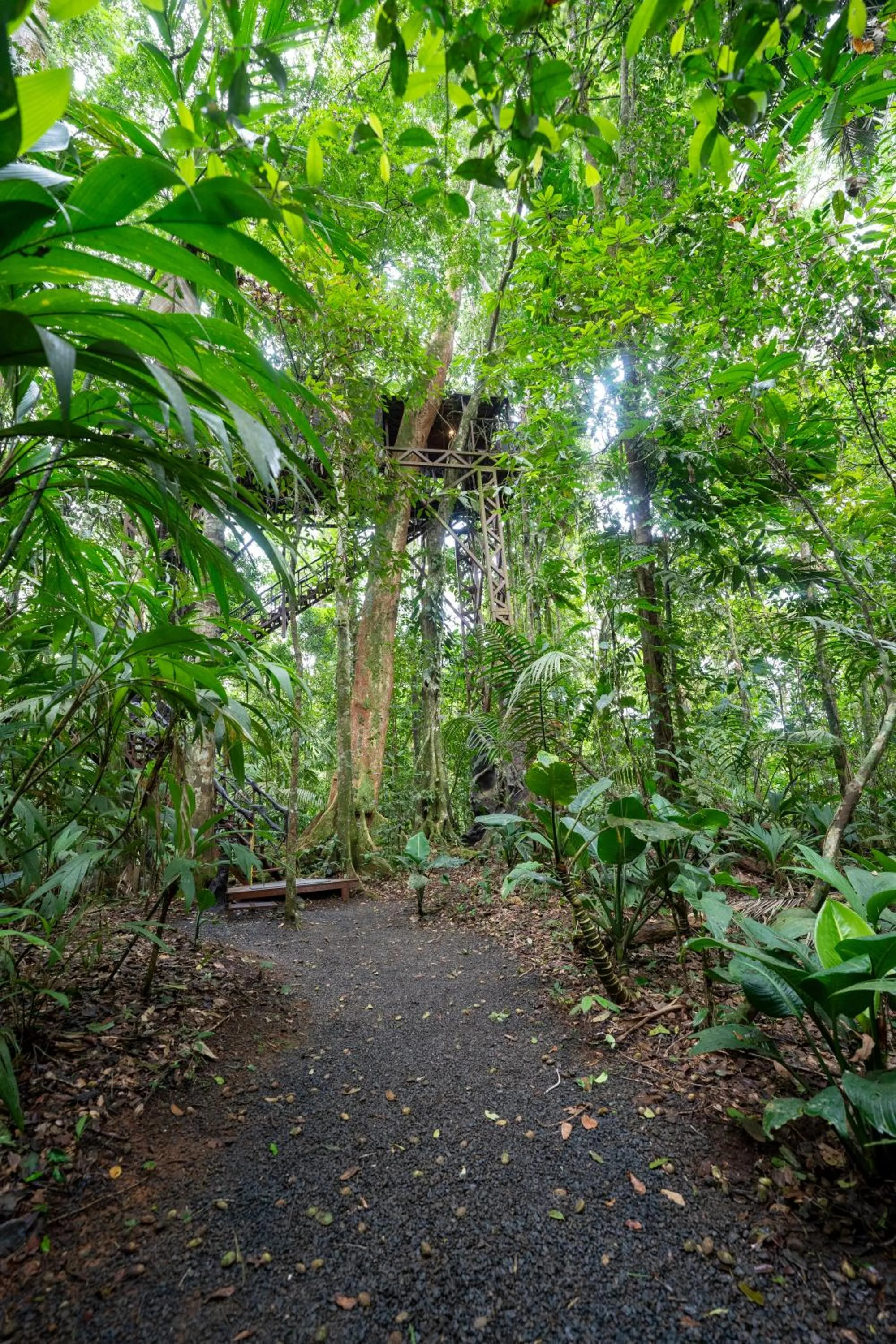 Natural landscape in Maquenque Lodge