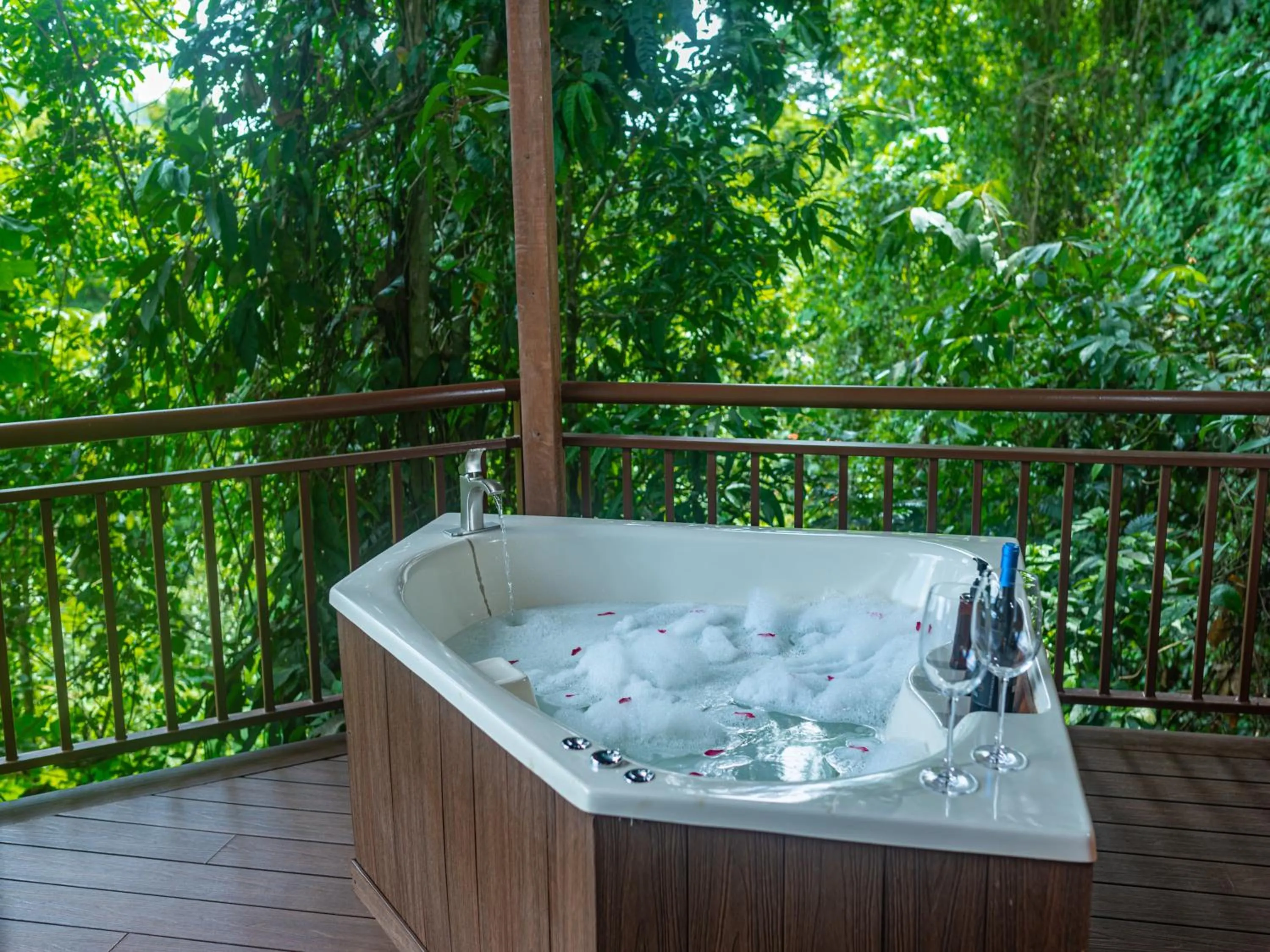 Natural landscape in Maquenque Lodge