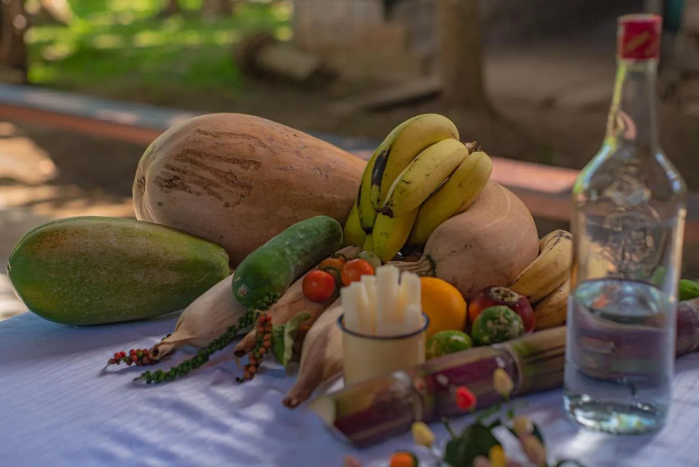 Decorative detail in Maquenque Lodge