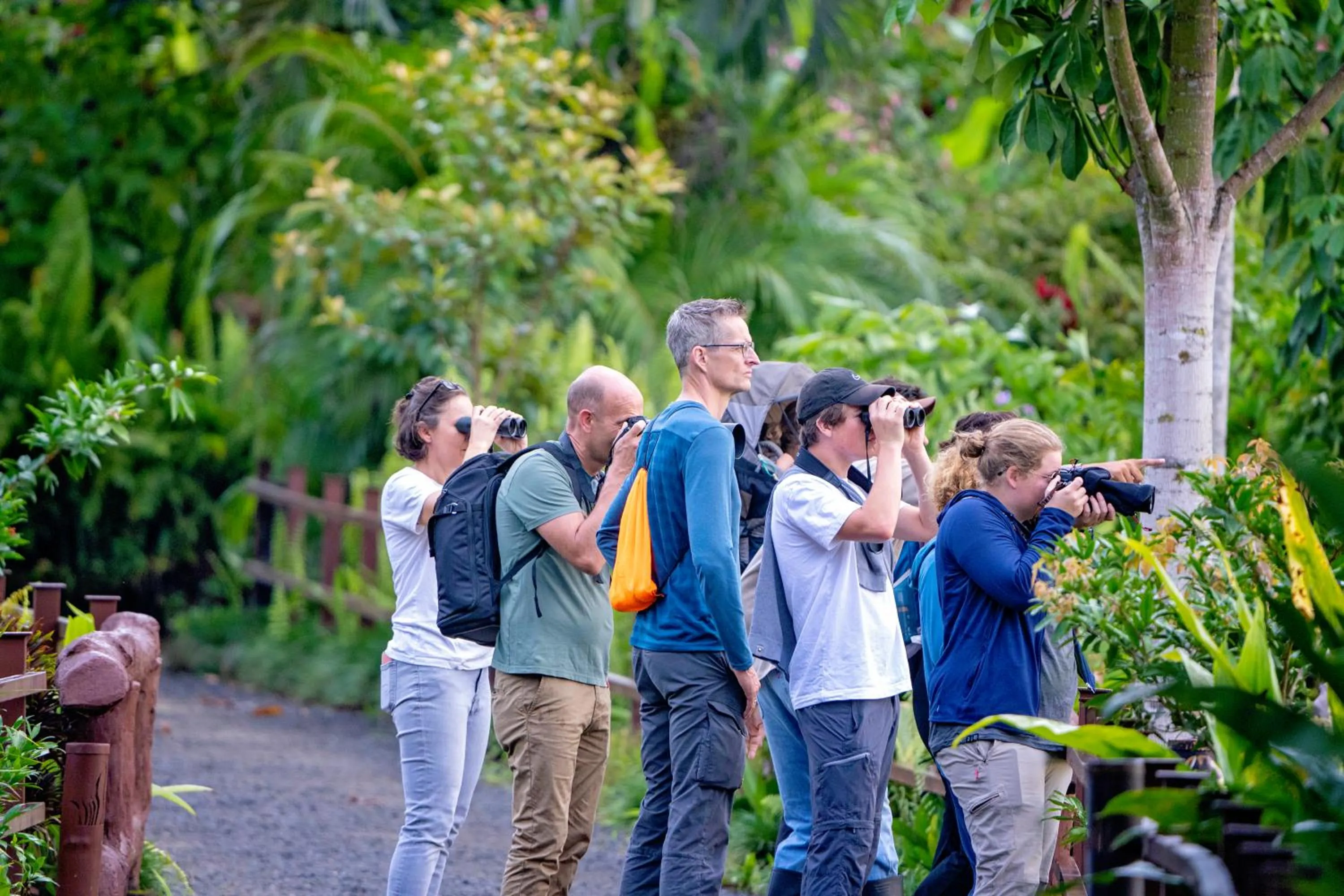 Activities in Maquenque Lodge