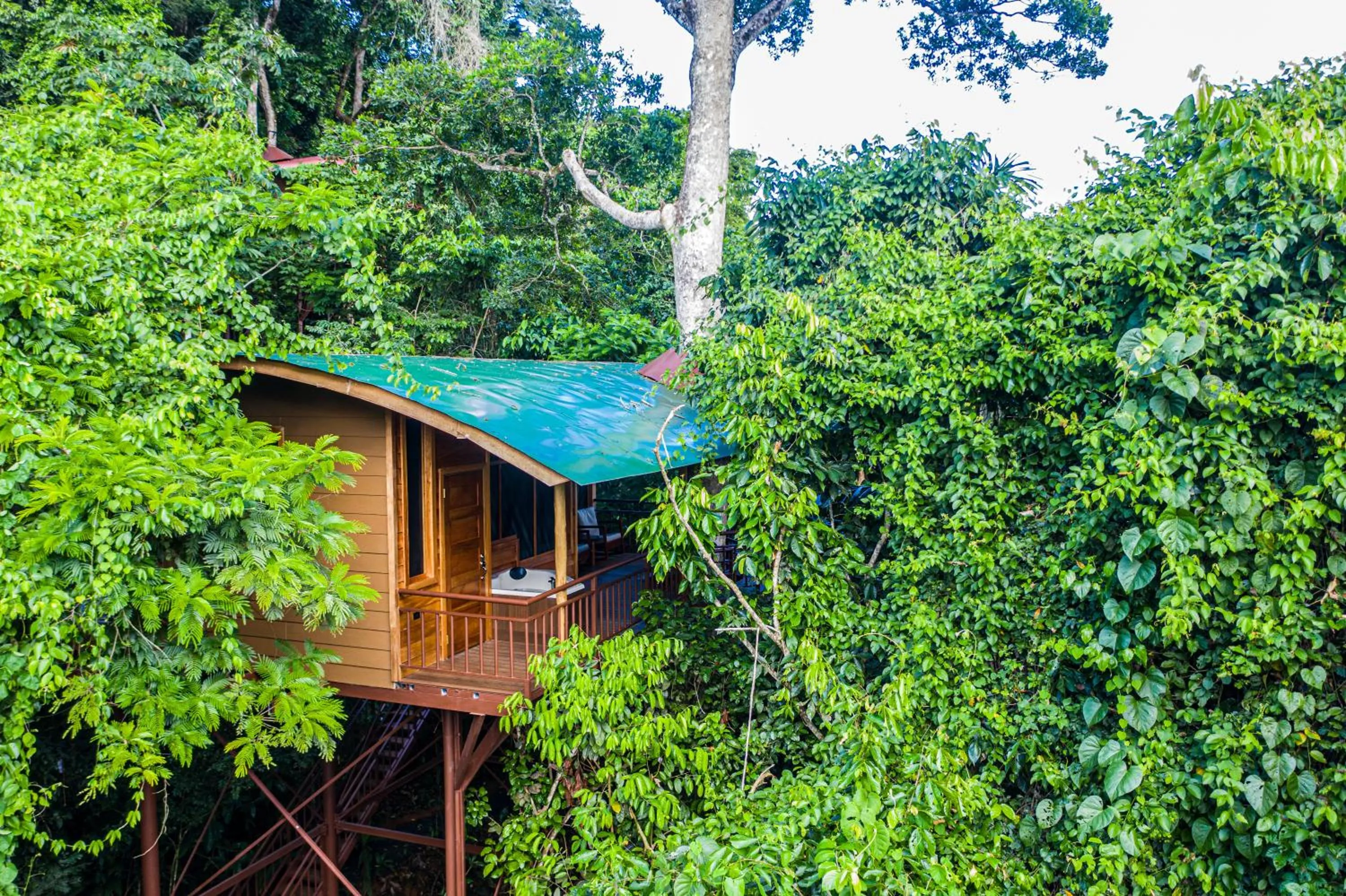 Property building in Maquenque Lodge