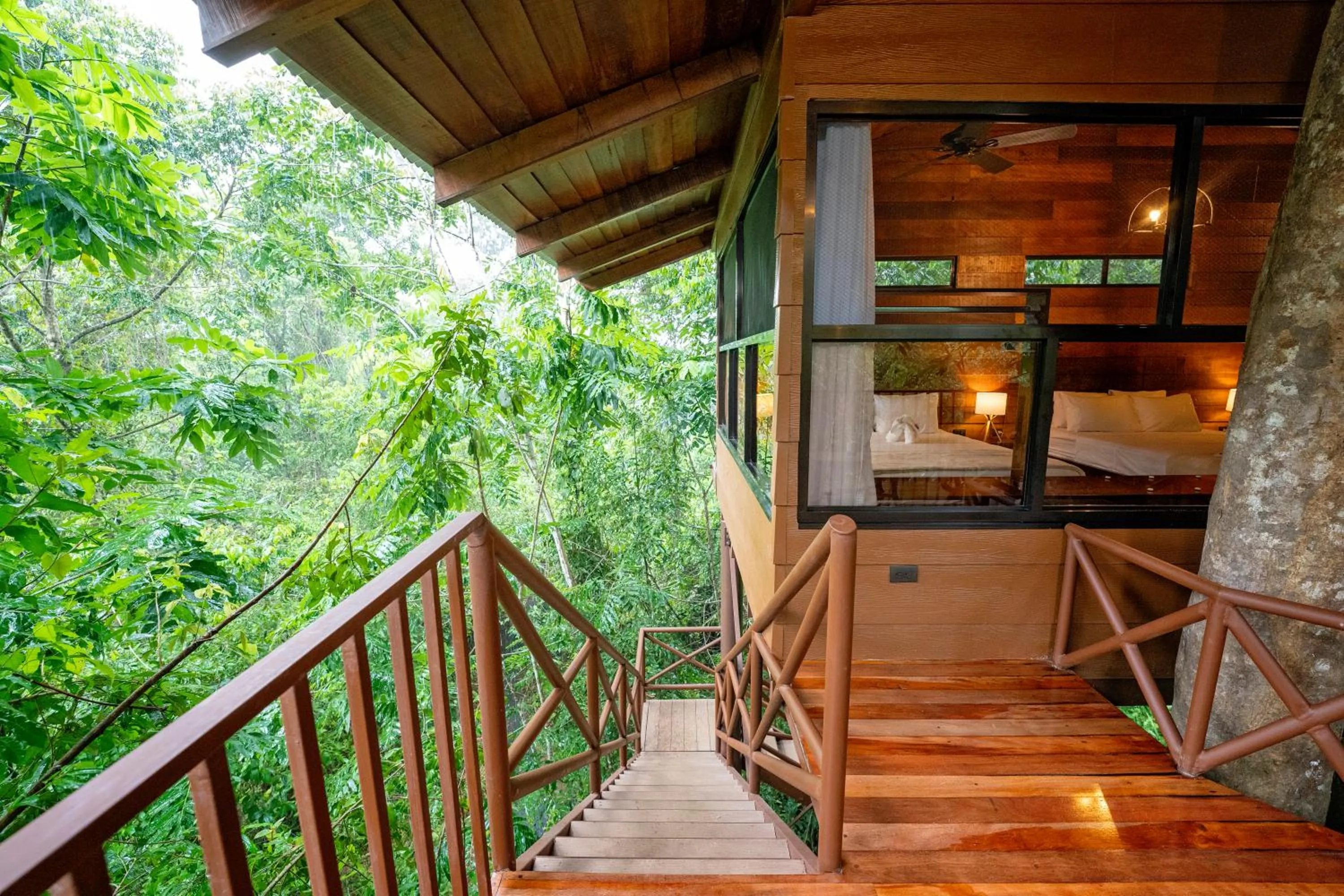 Spring in Maquenque Lodge