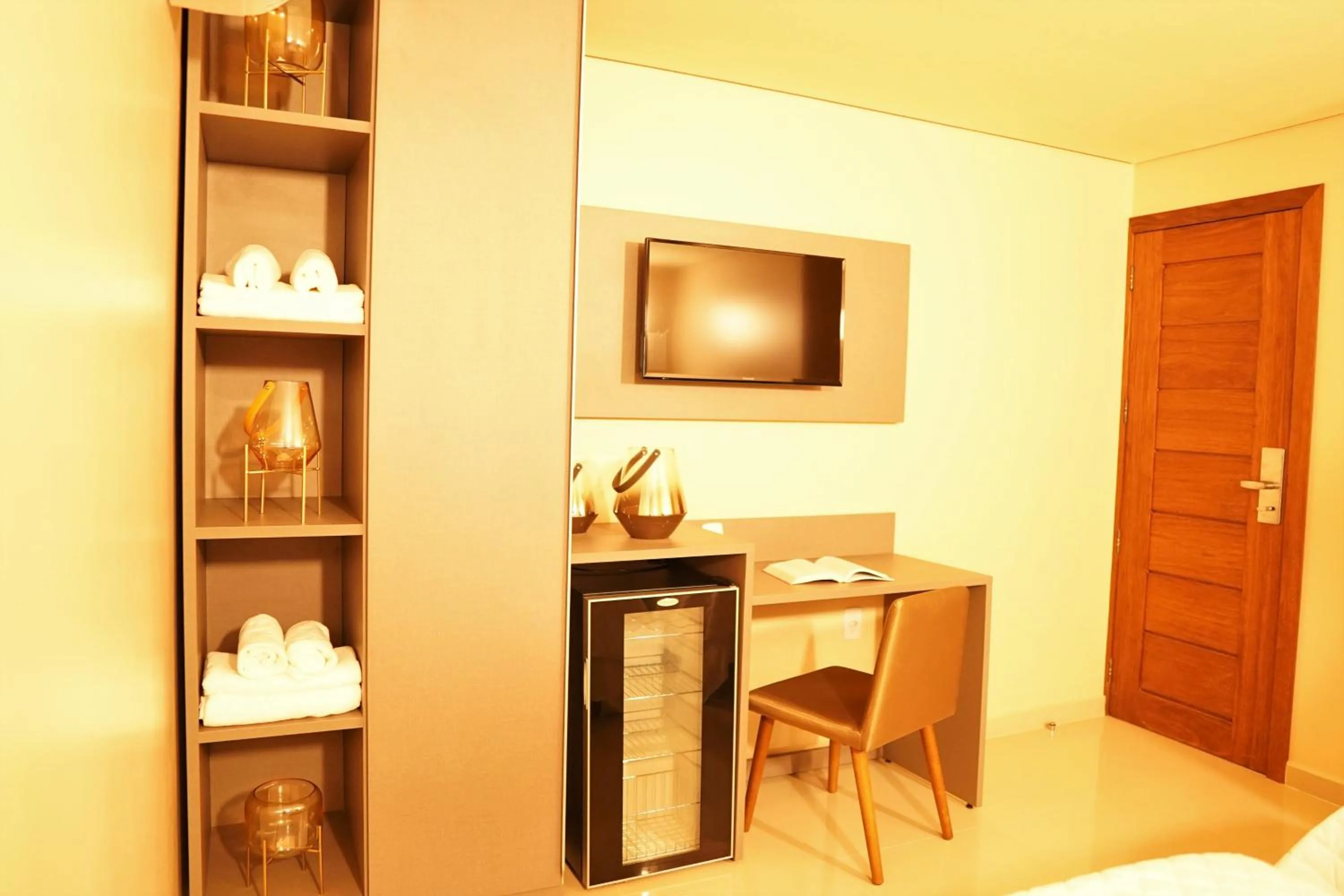 TV and multimedia in Forte Express