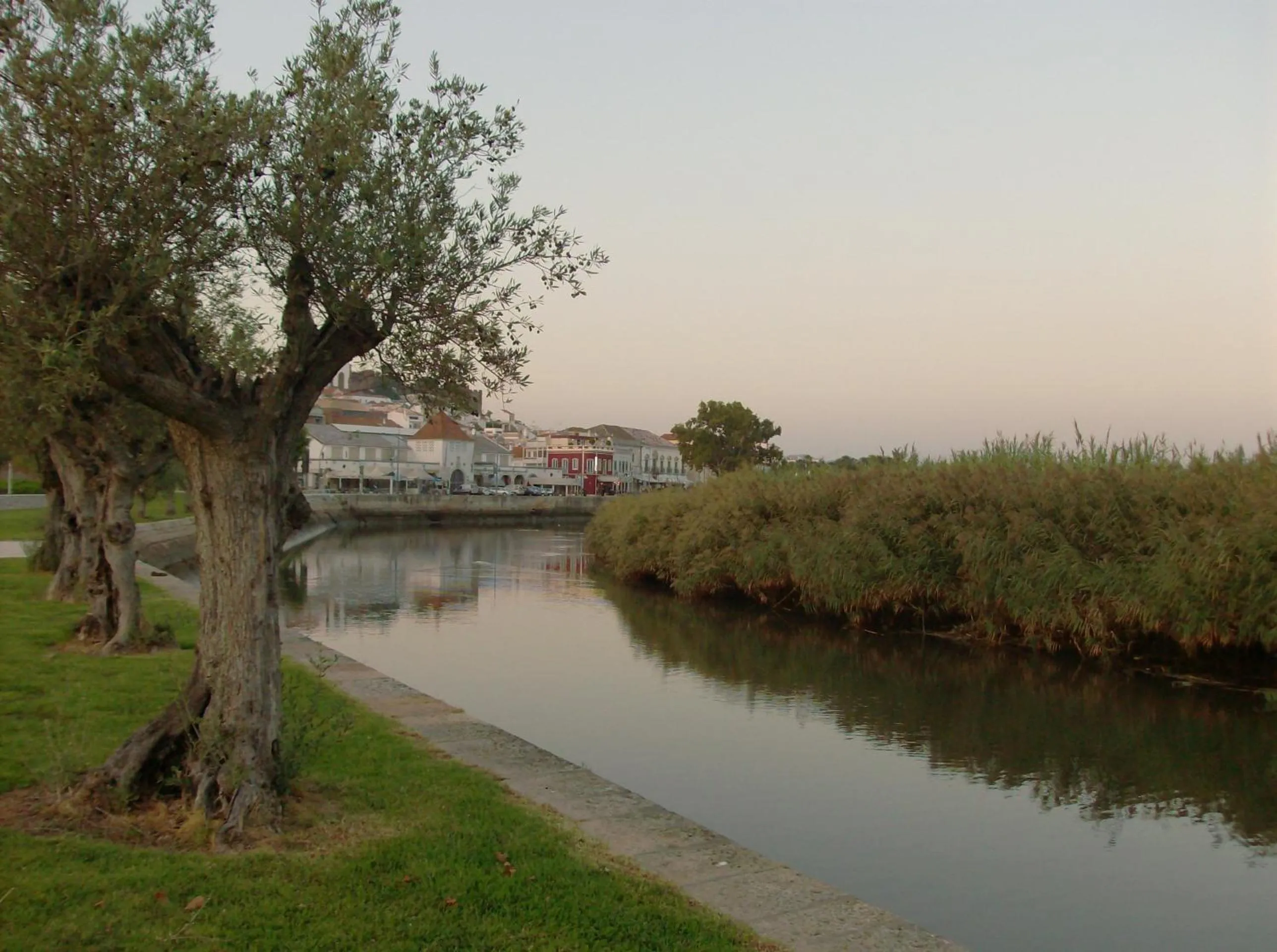Natural landscape in Vila Sodré Guest House
