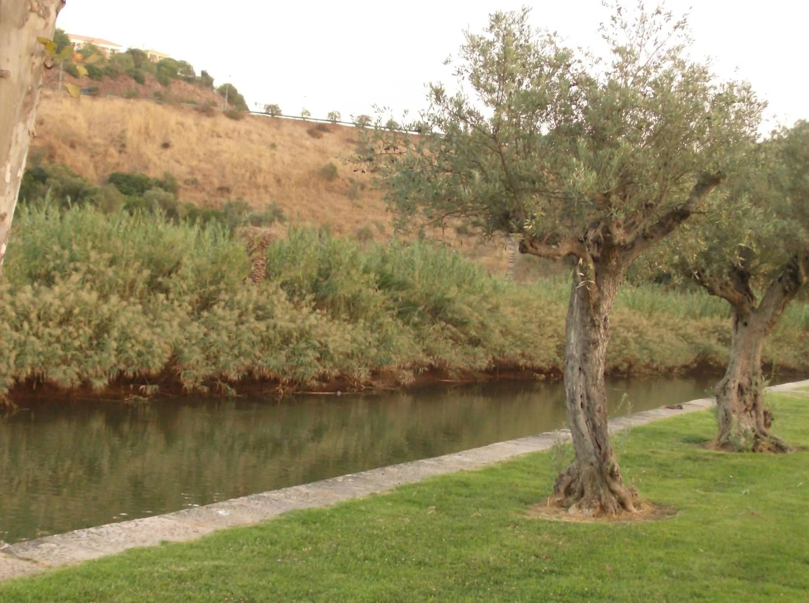 Natural landscape in Vila Sodré Guest House