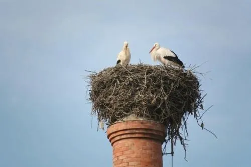 Other in Vila Sodré Guest House